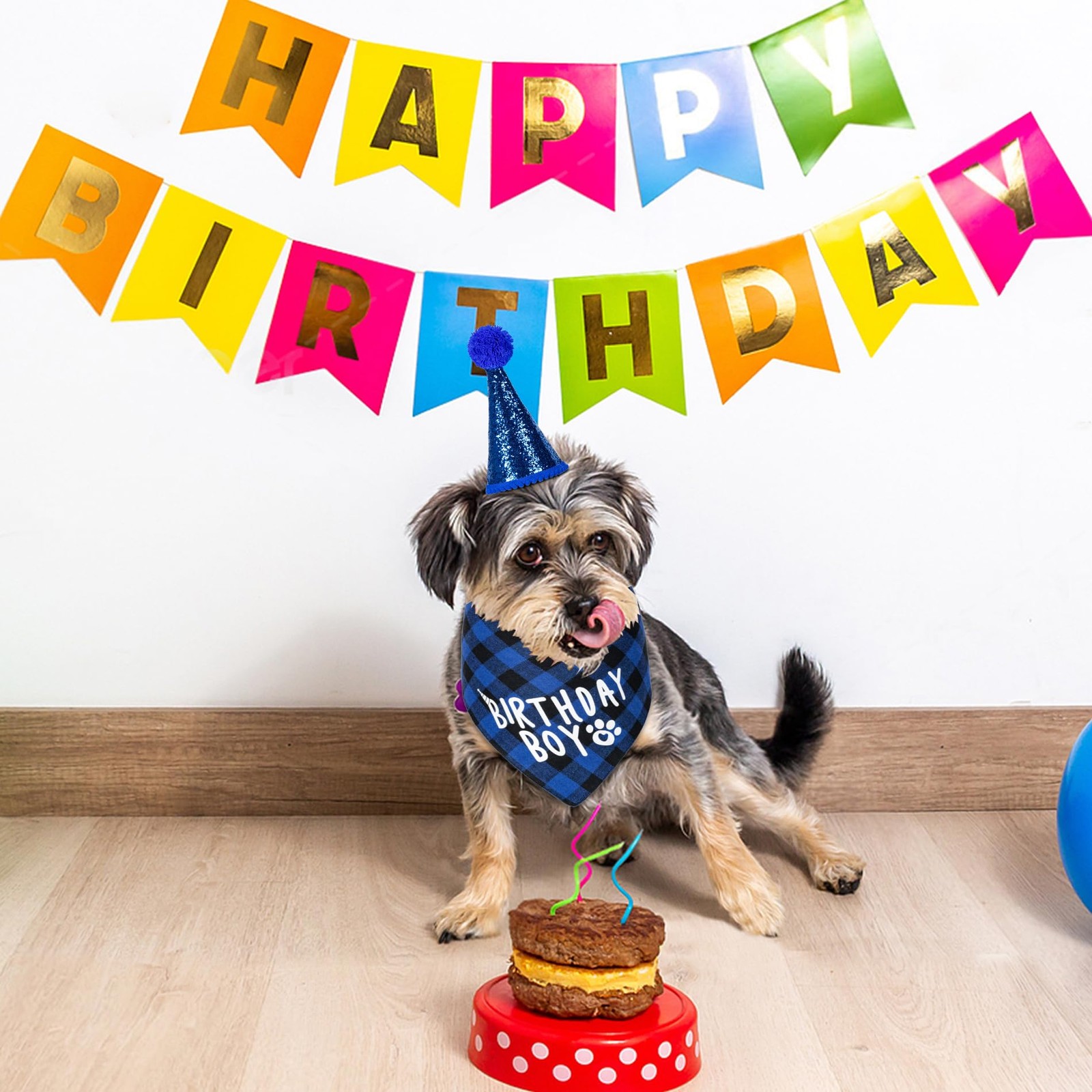 Dog Birthday Party Supplies Bandana Hat Bow Tie 0-8 Numbers Blue X-Large