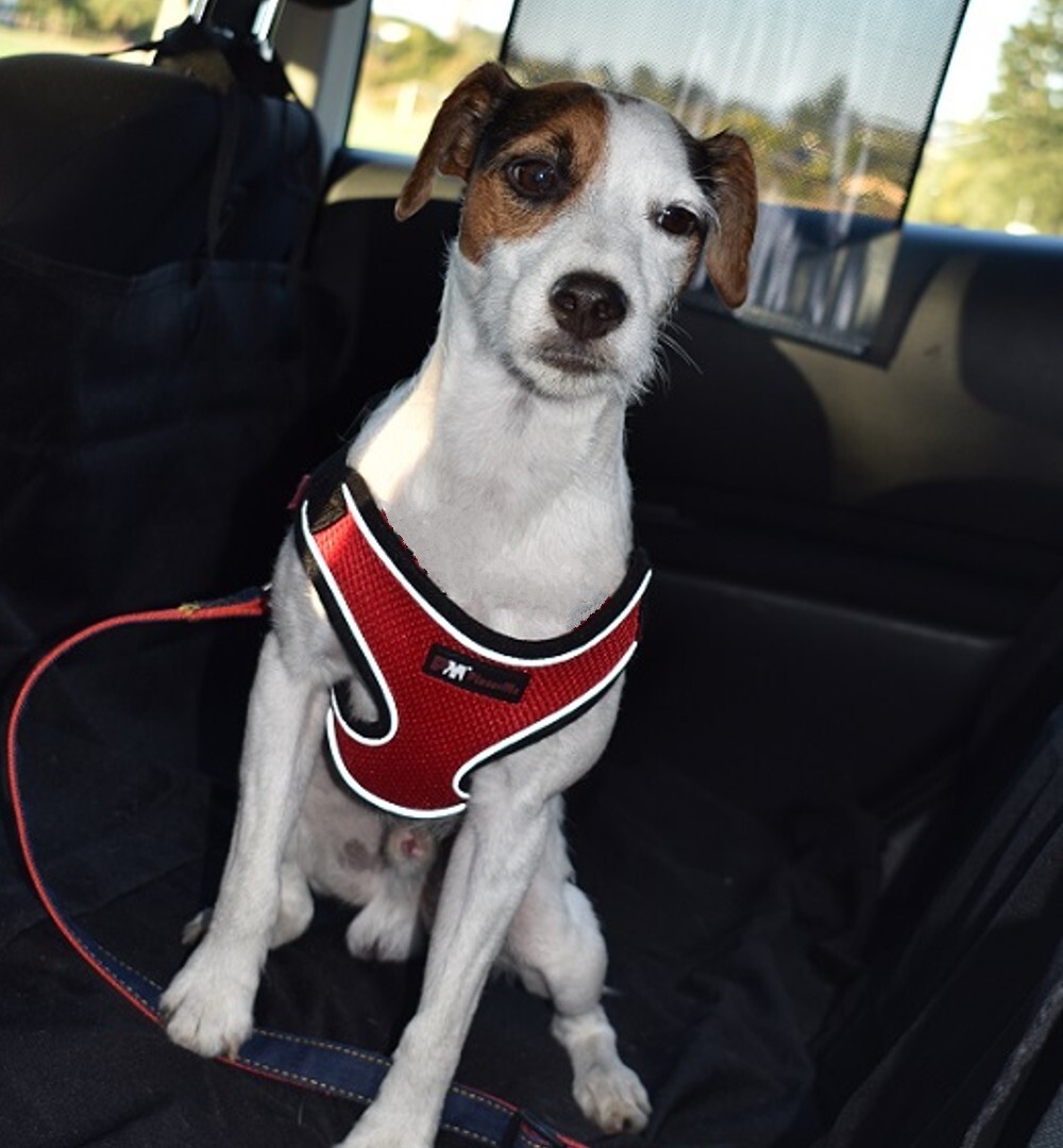 Pet Dog Car Truck SUV Rear Back Seat Protector Hammock Extender Cover Waterproof
