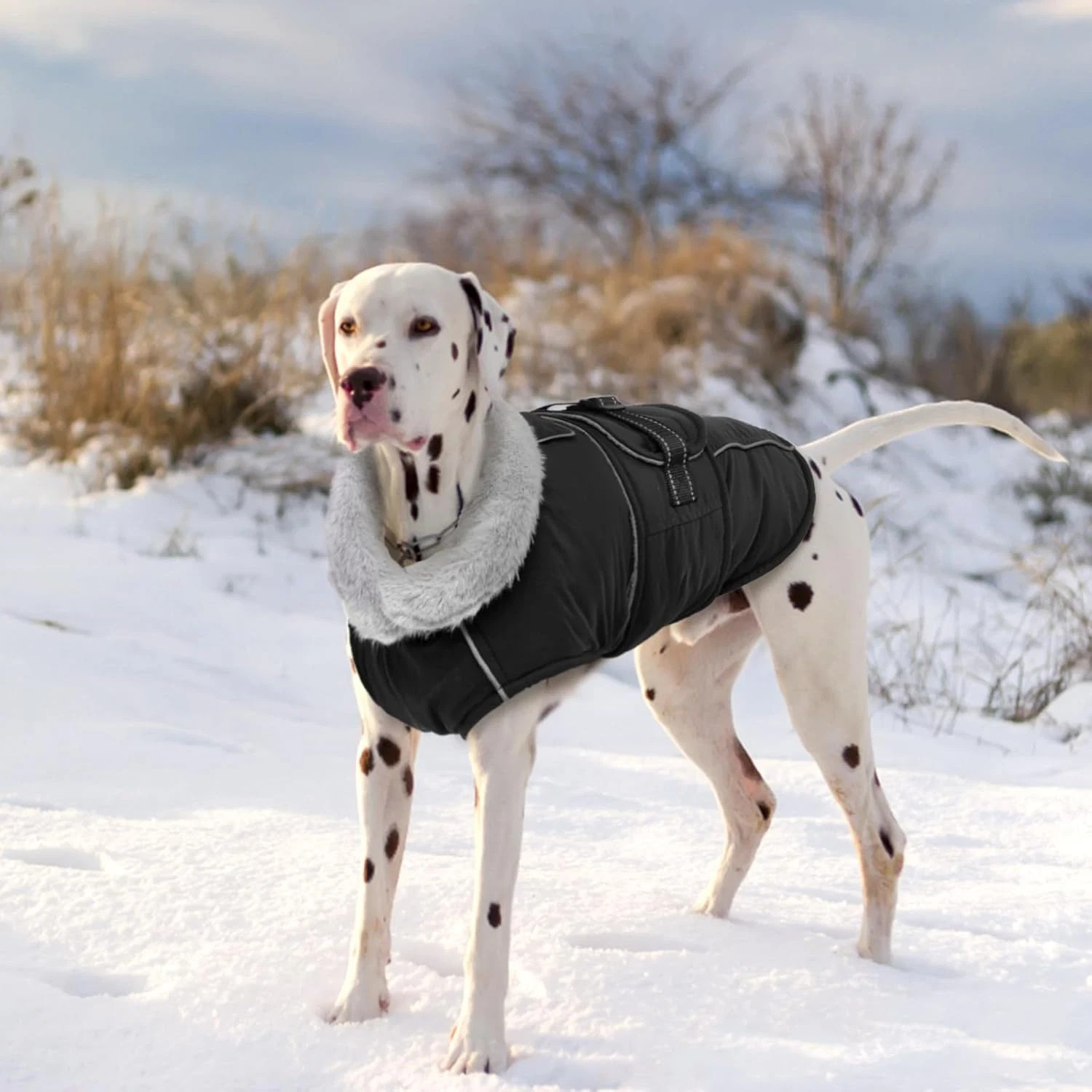 Warm Dog Coats for Large Dogs Waterproof Dog Jacket Reflective Pet Fleece Vest W
