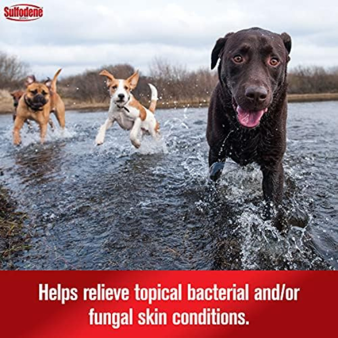 Sulfodene Dog Wound Care 3-W Ointment – Pain Relief & Infection Prevention, 2 oz