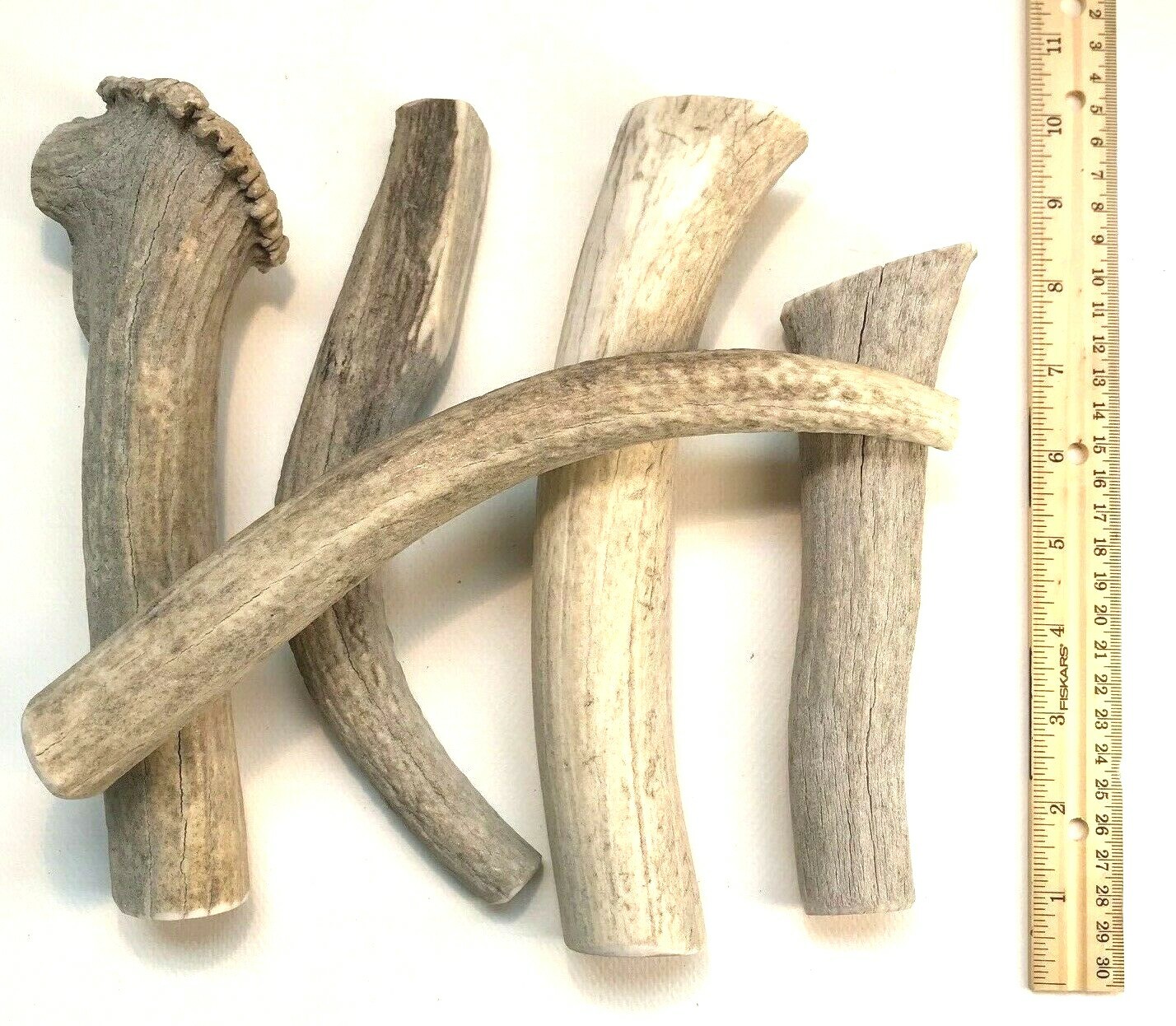 BEST VALUE! 2 POUNDS of Seasoned Deer & Elk- Whole Antler Dog Chews – Jumbo & XL