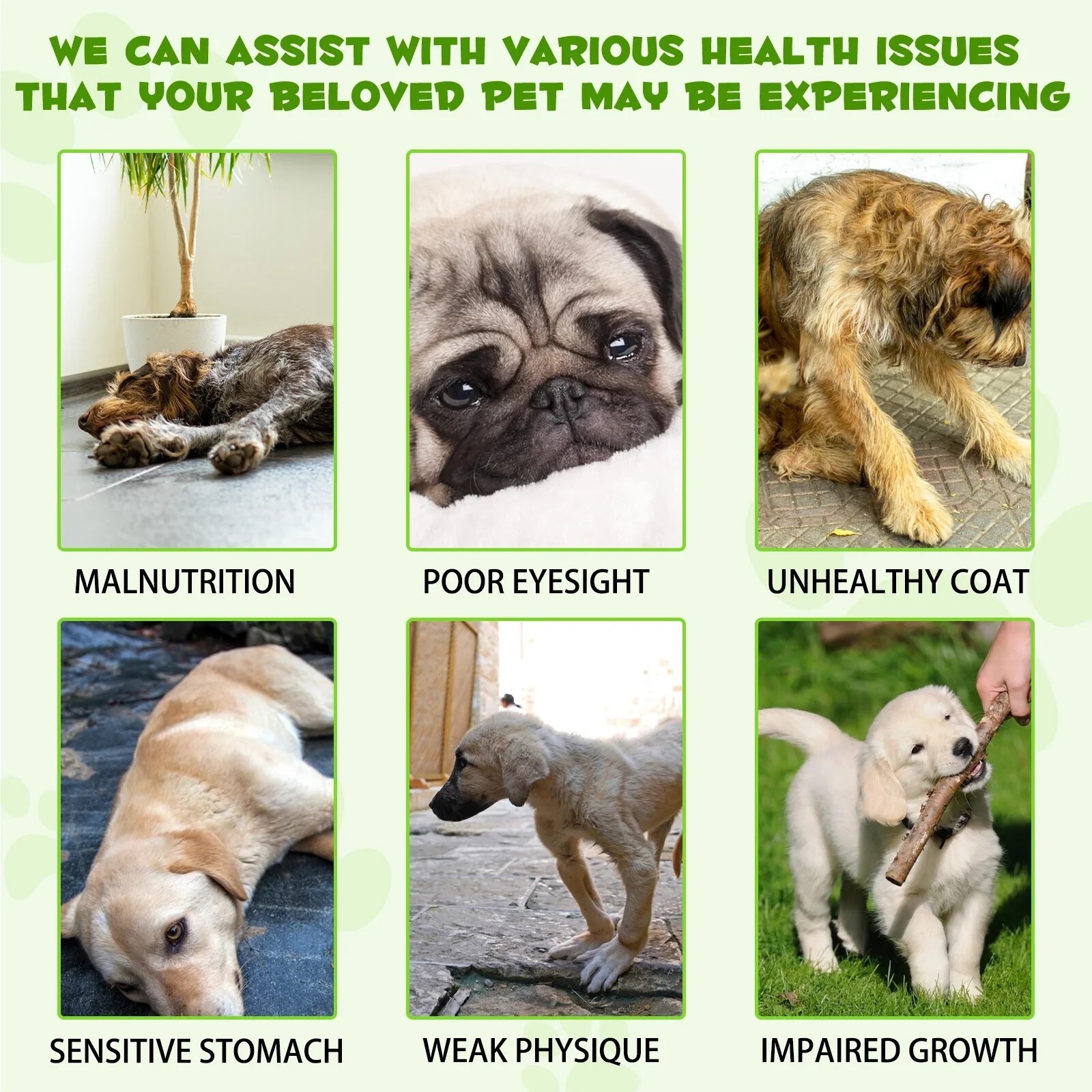 Probiotic for Dogs, Natural 3 in 1 Relieve Diarrhea, Supports Gut, Itchy Skin