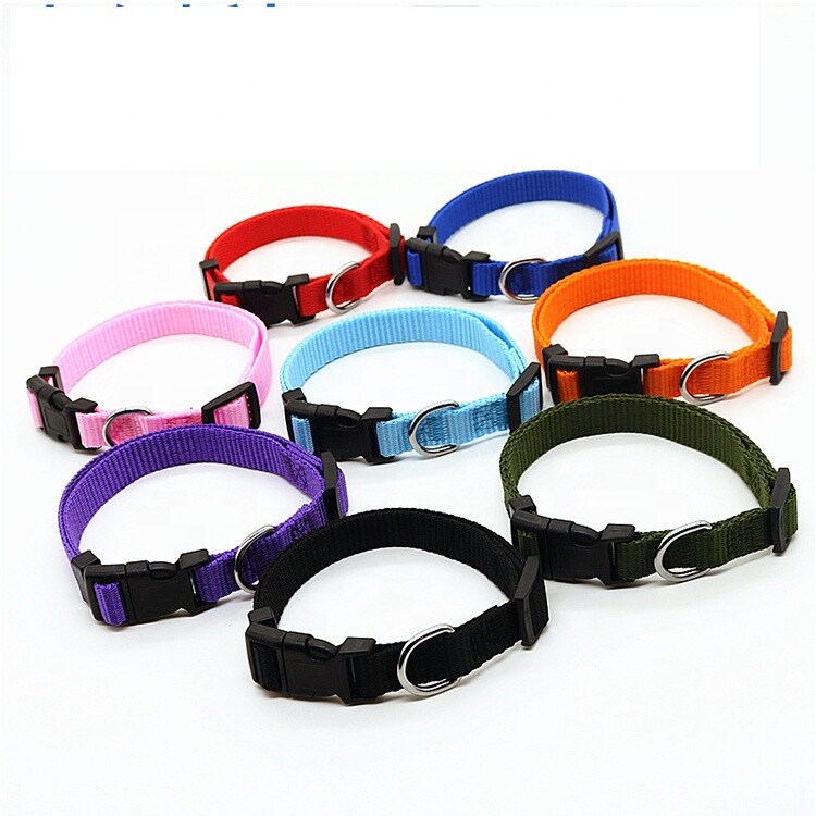 Dog Pet Adjustable Nylon Collar Small Medium Large XL With Buckle Puppy
