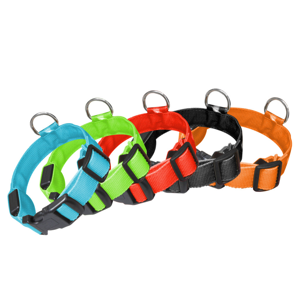 RECHARGEABLE USB LED Dog Pet Light Up Safety Collar Night Glow Adjustable Bright