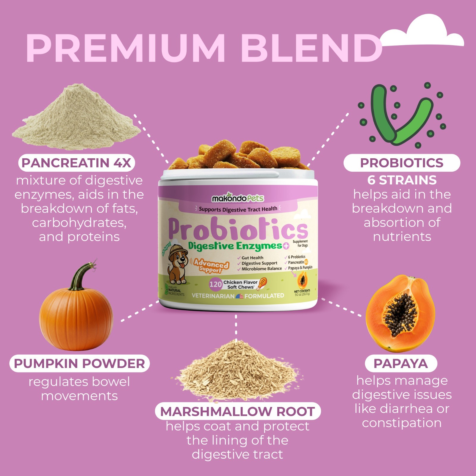 Dog Probiotics – 120 Soft Chews – Digestive Enzymes Supplement for Gut Health