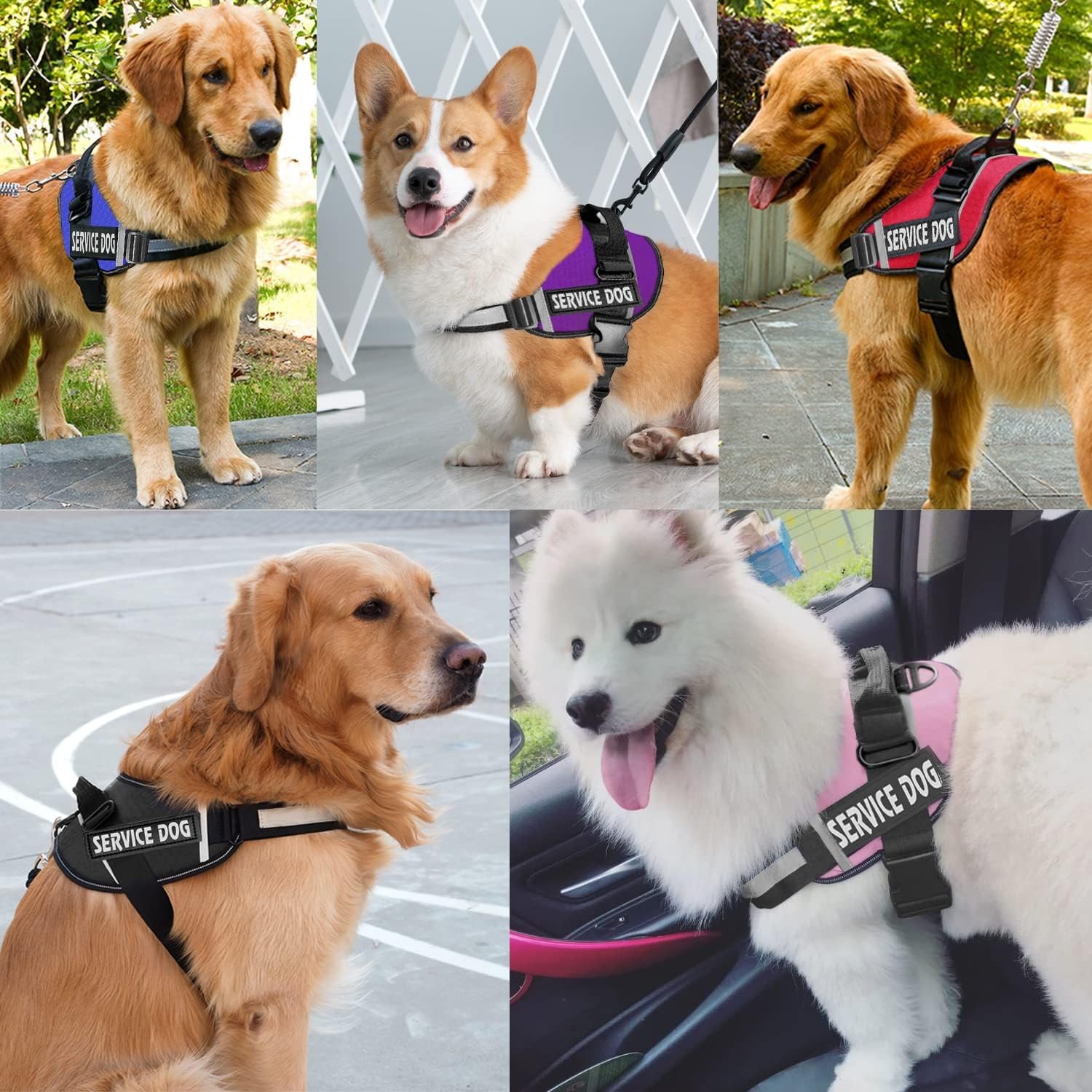 Adjustable Reflective Service Dog Harness, Nylon Vest with Straps XS to XXL