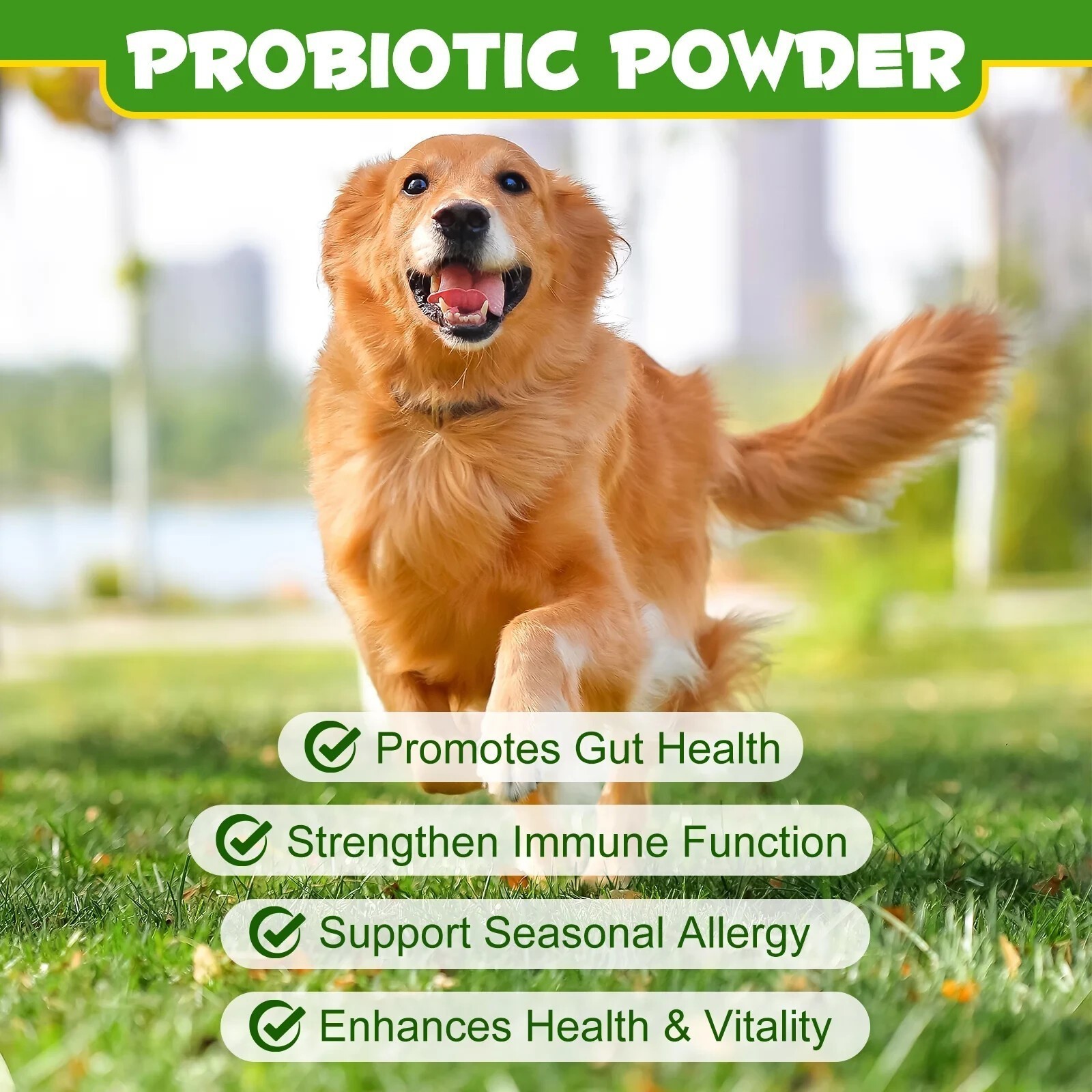 Probiotic, Prebiotic Powder, Digestive Enzyme Powder for Dogs – 120 Grams