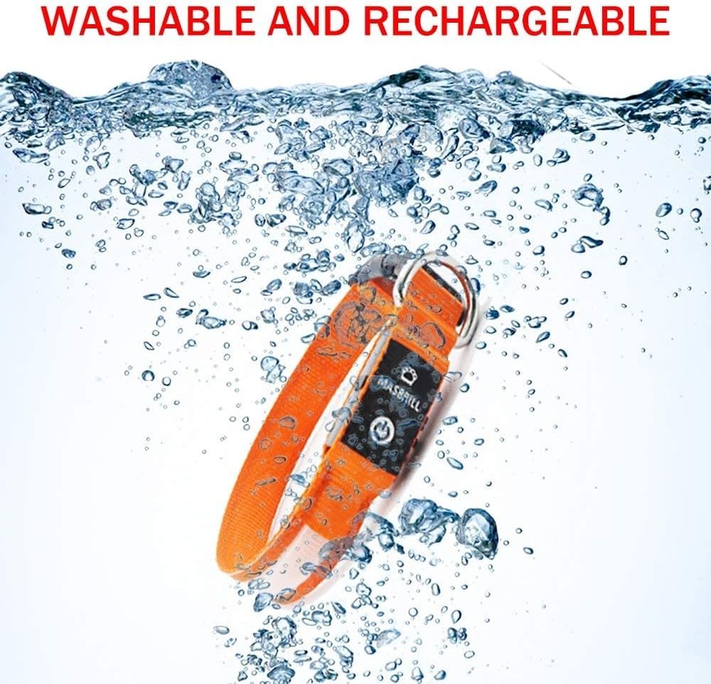 High Visibility LED Dog Collar – Waterproof Glow Collar for Nighttime Safety