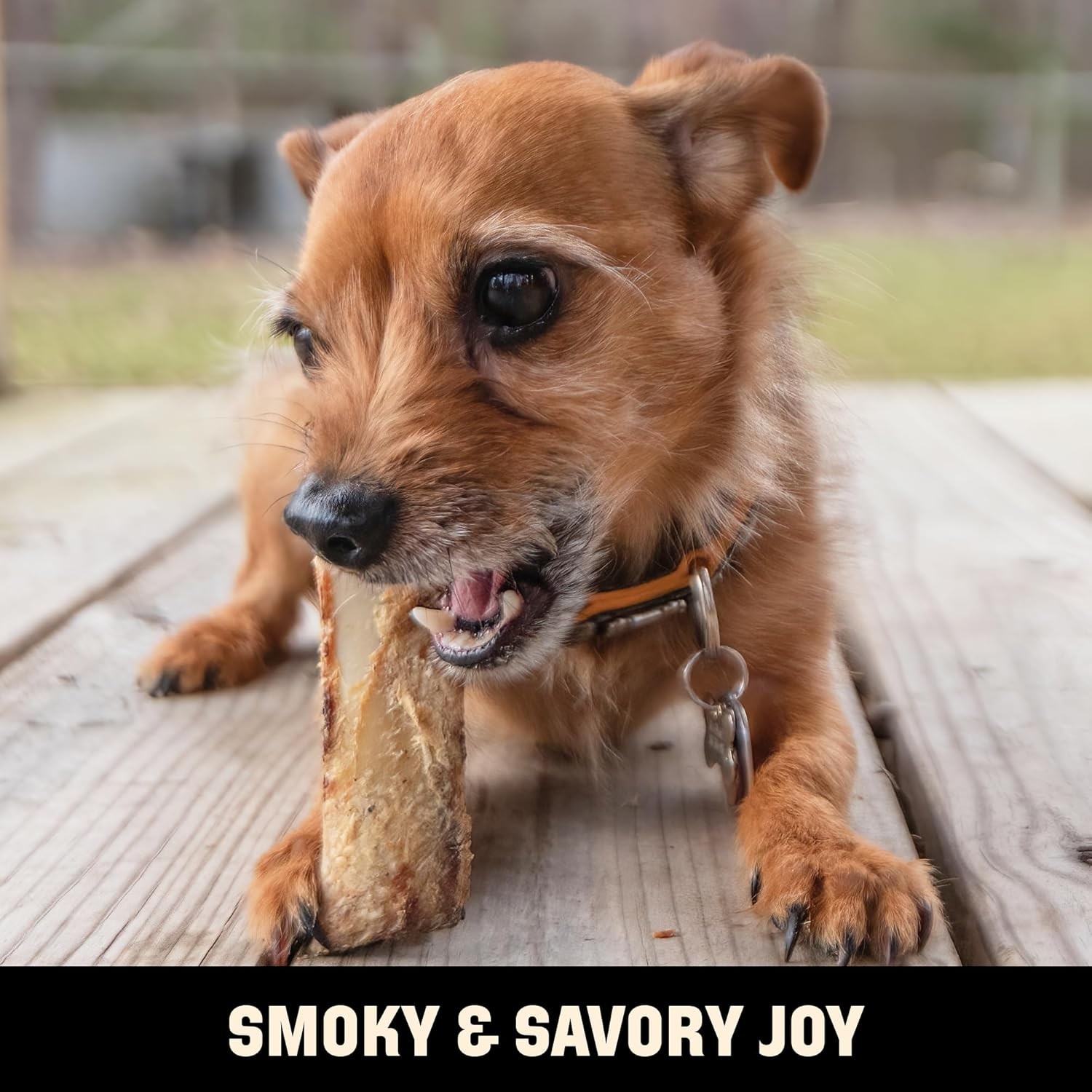 Barkworthies All-Natural Hickory Smoke Rib Bones 10 Medium Dog Chew Treats