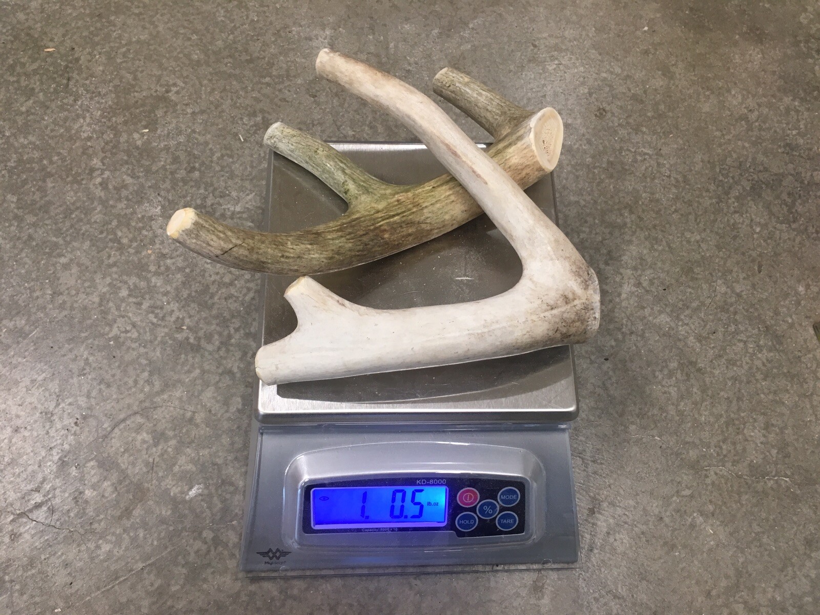 1 Pound Cheap Chews Deer & Elk Antler Dog Chew Mix-M/L LOT Bulk Fork Large SALE