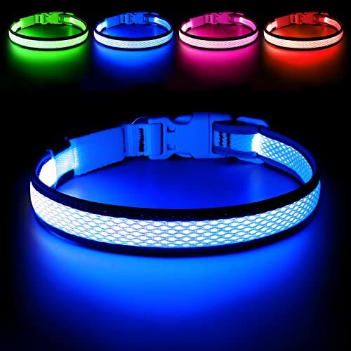 LED Dog Collar, Light Up Dog Collar USB Rechargeable, Assorted Colors , Sizes
