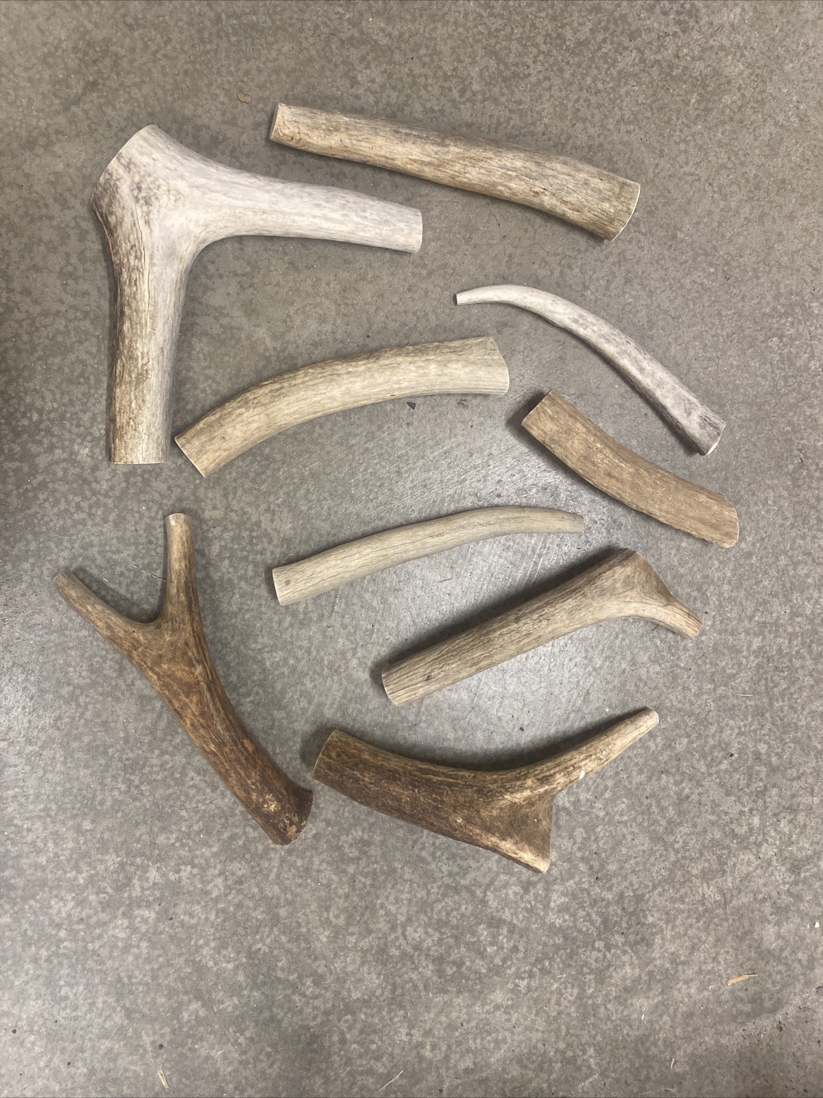 1 Pound Cheap Chews Deer & Elk Antler Dog Chew Mix-M/L LOT Bulk Fork Large SALE