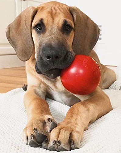 Jolly Pets Tug-n-Toss Heavy Duty Dog Toy Ball with Handle, 3 Inches/Mini, Red…