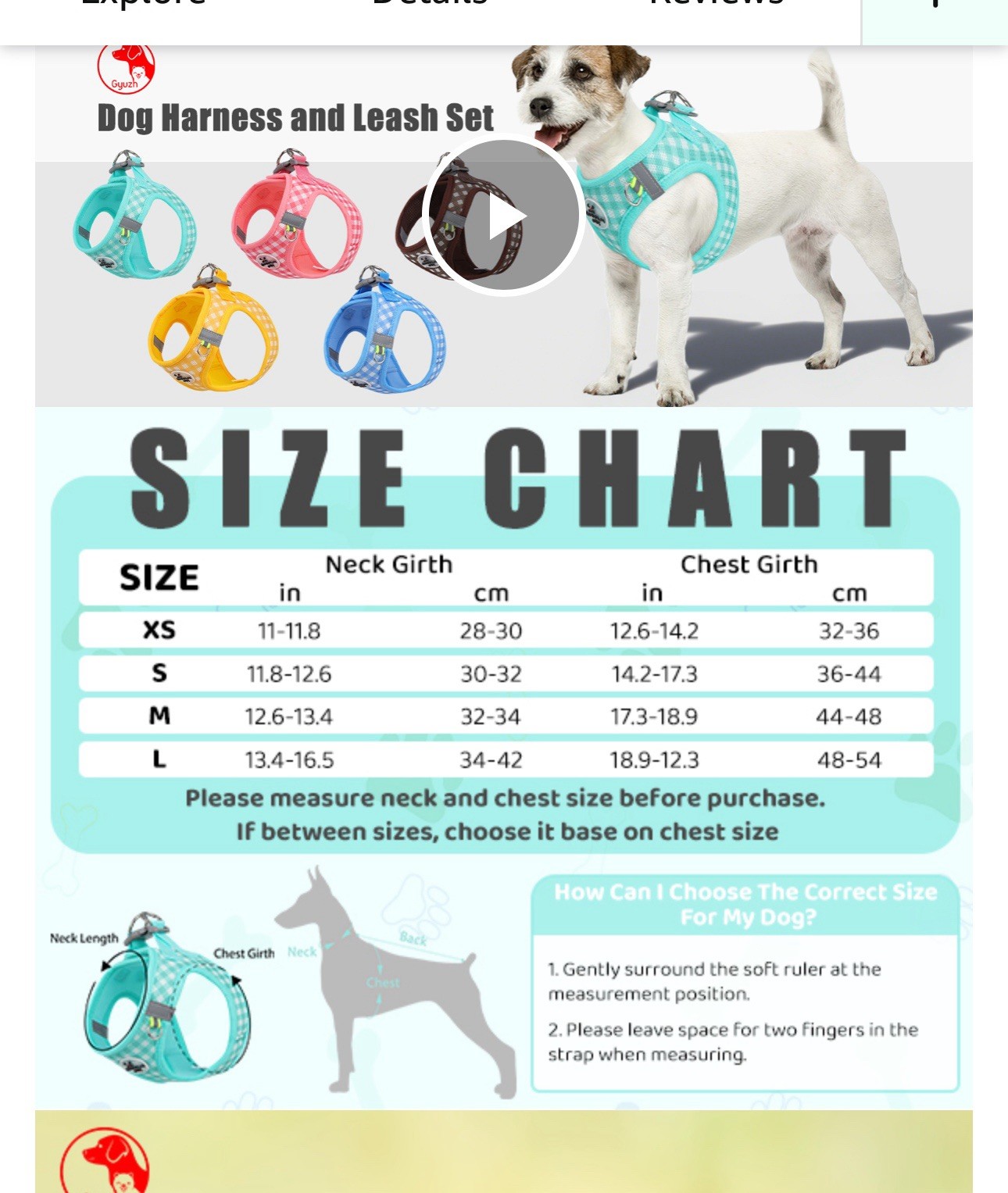 Xtra Small Duomm Pet Harness and Leash
