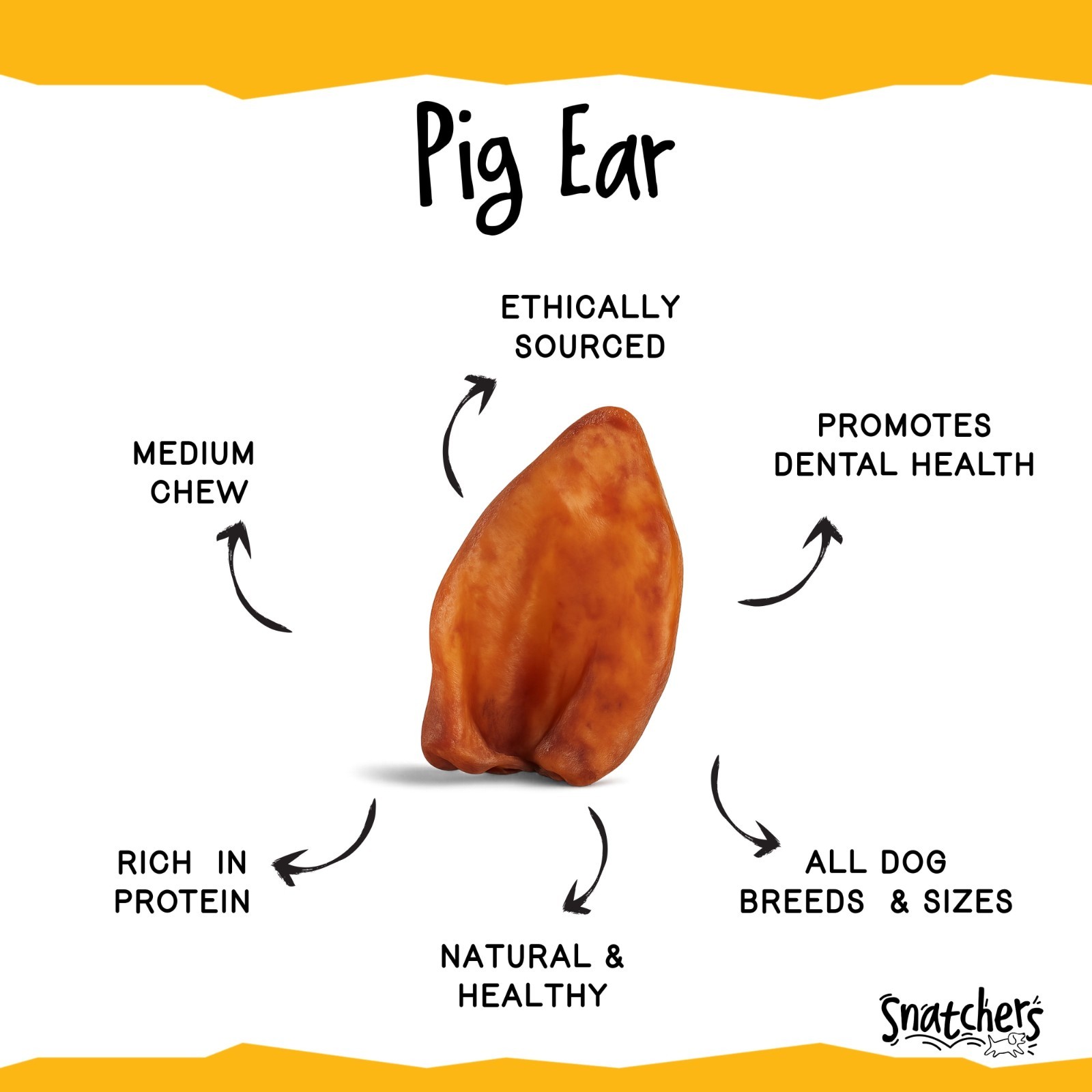Jumbo All-Natural Pig Ear Dog Chews, Healthy Long-Lasting Pork Treat
