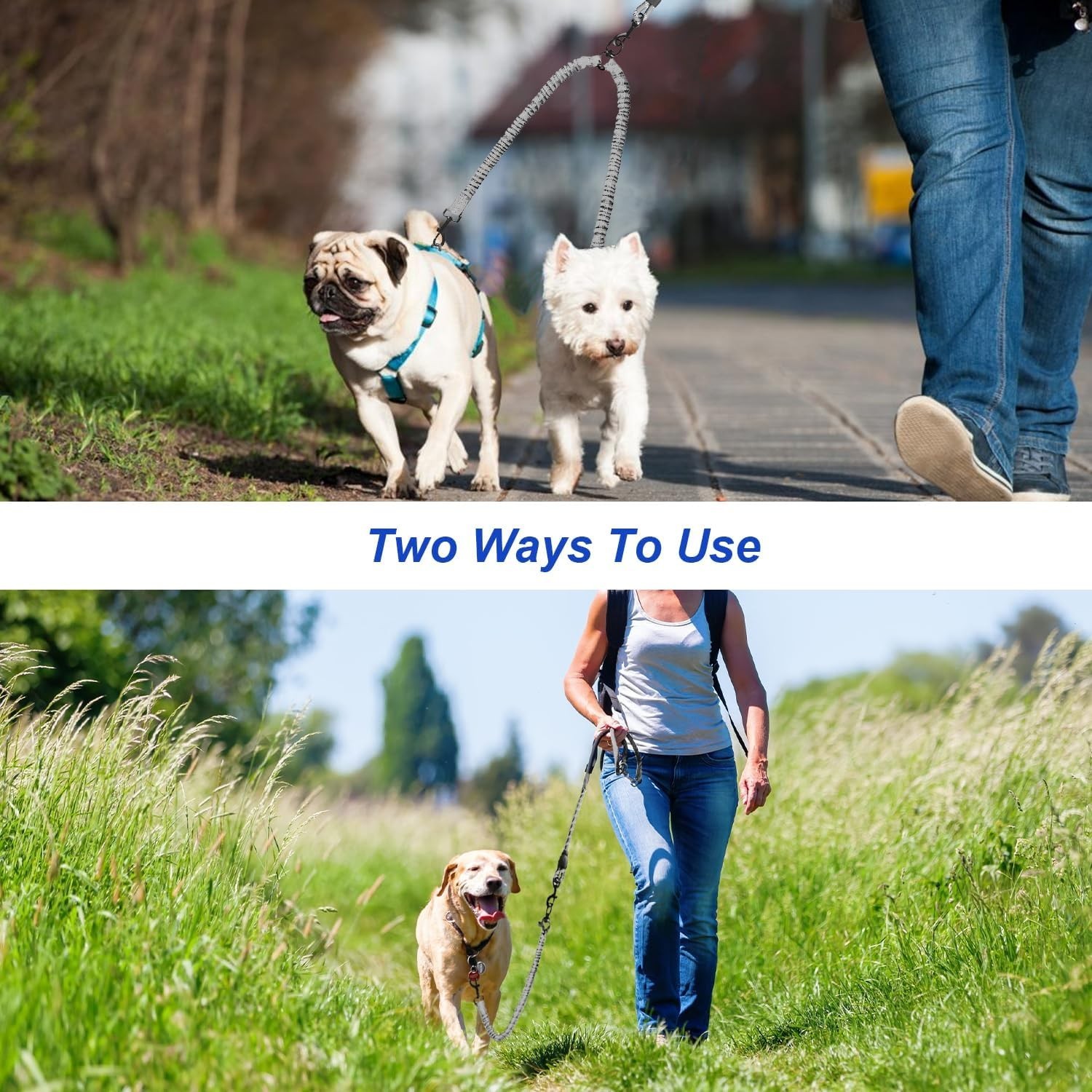 High-Performance Bungee Double Dog Leash, Tangle Resistant, for Medium & Large