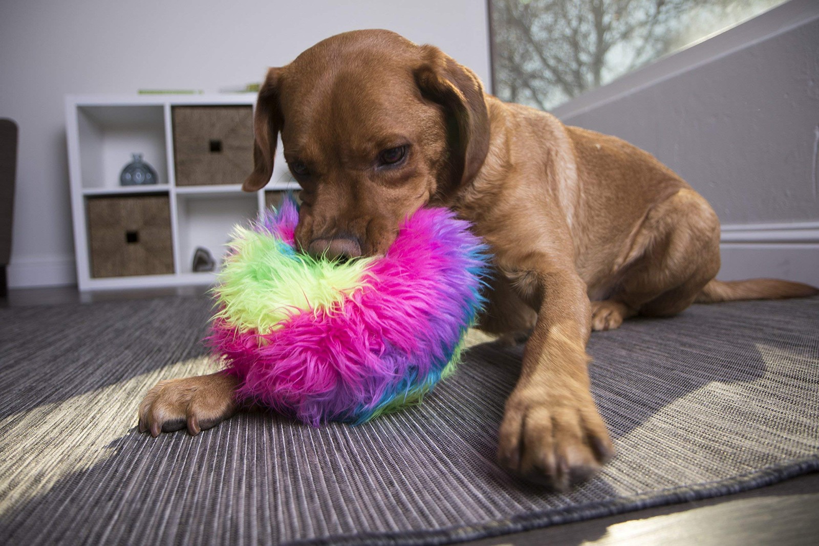 goDog Furballz Rainbow Plush Dog Toy with Chew Guard Technology, Large, Rainbow