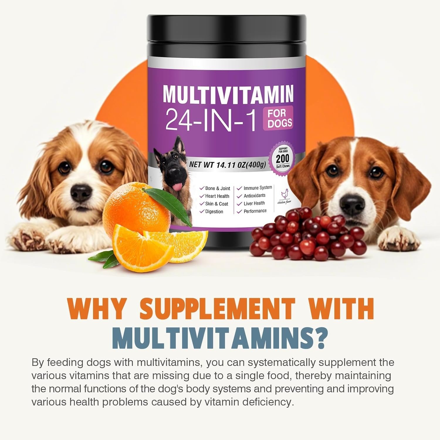 24-in-1 Dog Vitamins and Supplements 200 Ct Dogs Multivitamin Chewable