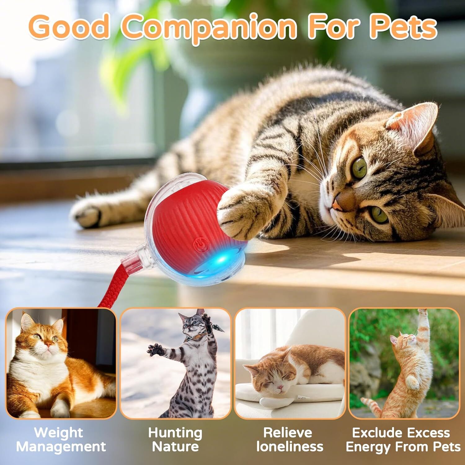 2025 New Pet Glove Cat Grooming Gloves Cat Hair Remover Pet Dog Hair Remover HOT