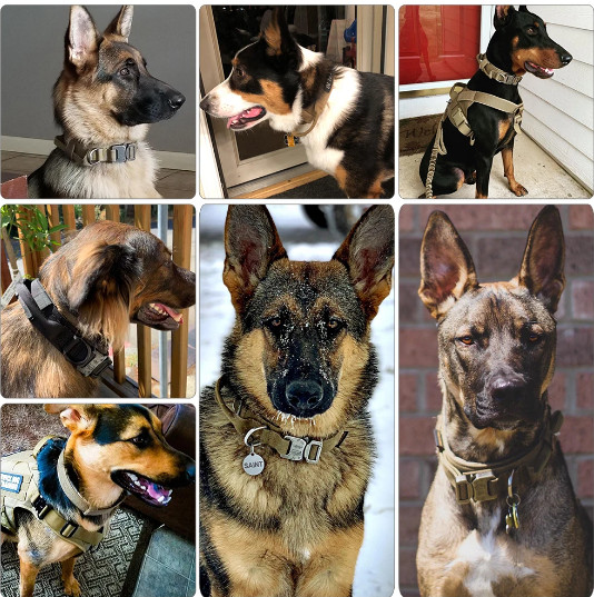 Tactical Dog Collar w/ Handle +Leash Heavy Duty Military Service Canine Training