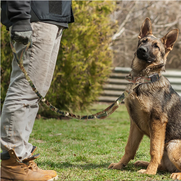 Tactical Dog Collar w/ Handle +Leash Heavy Duty Military Service Canine Training