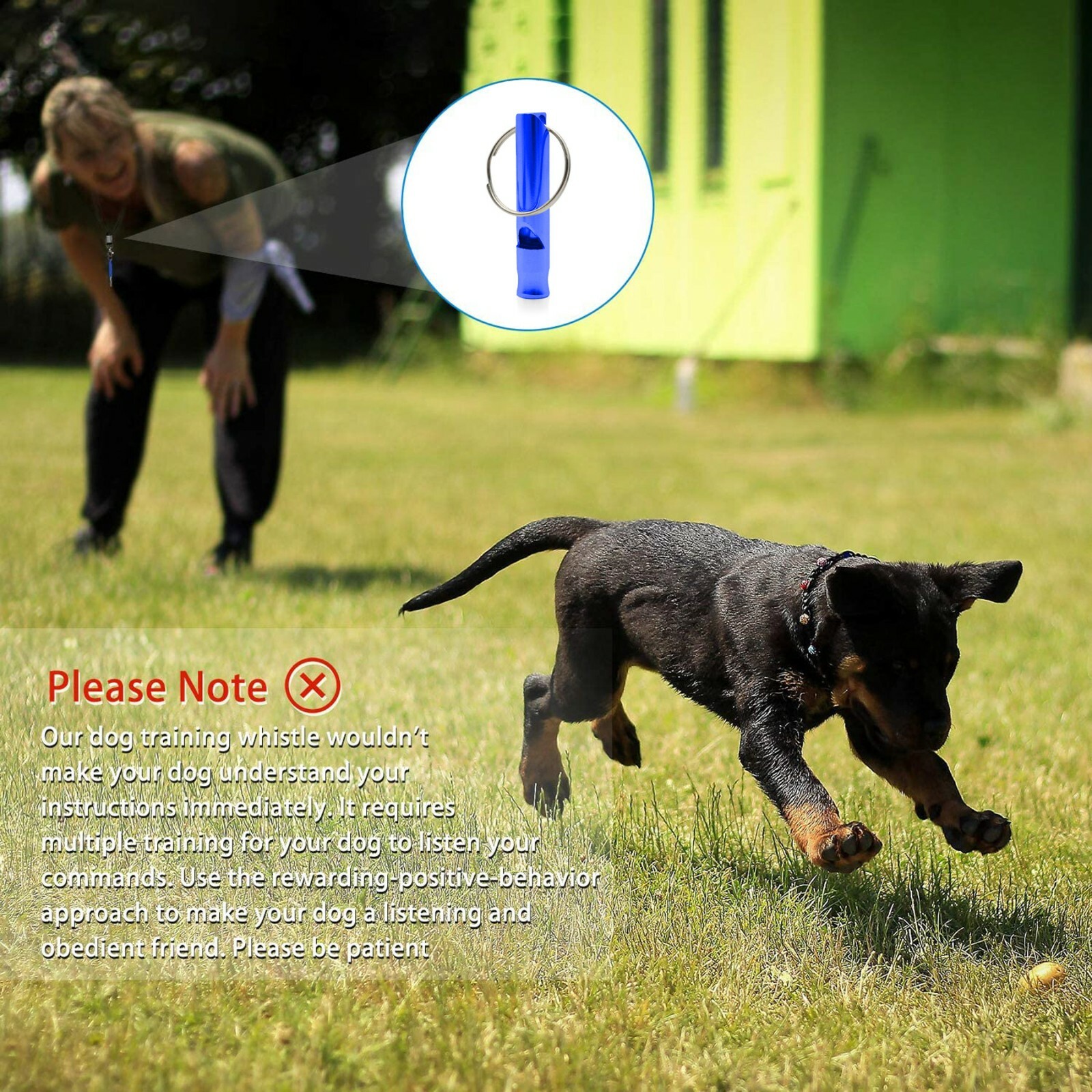 Stainless Steel Dog Training WHISTLE High Pitch Sound Obedience Stop Barking Pet