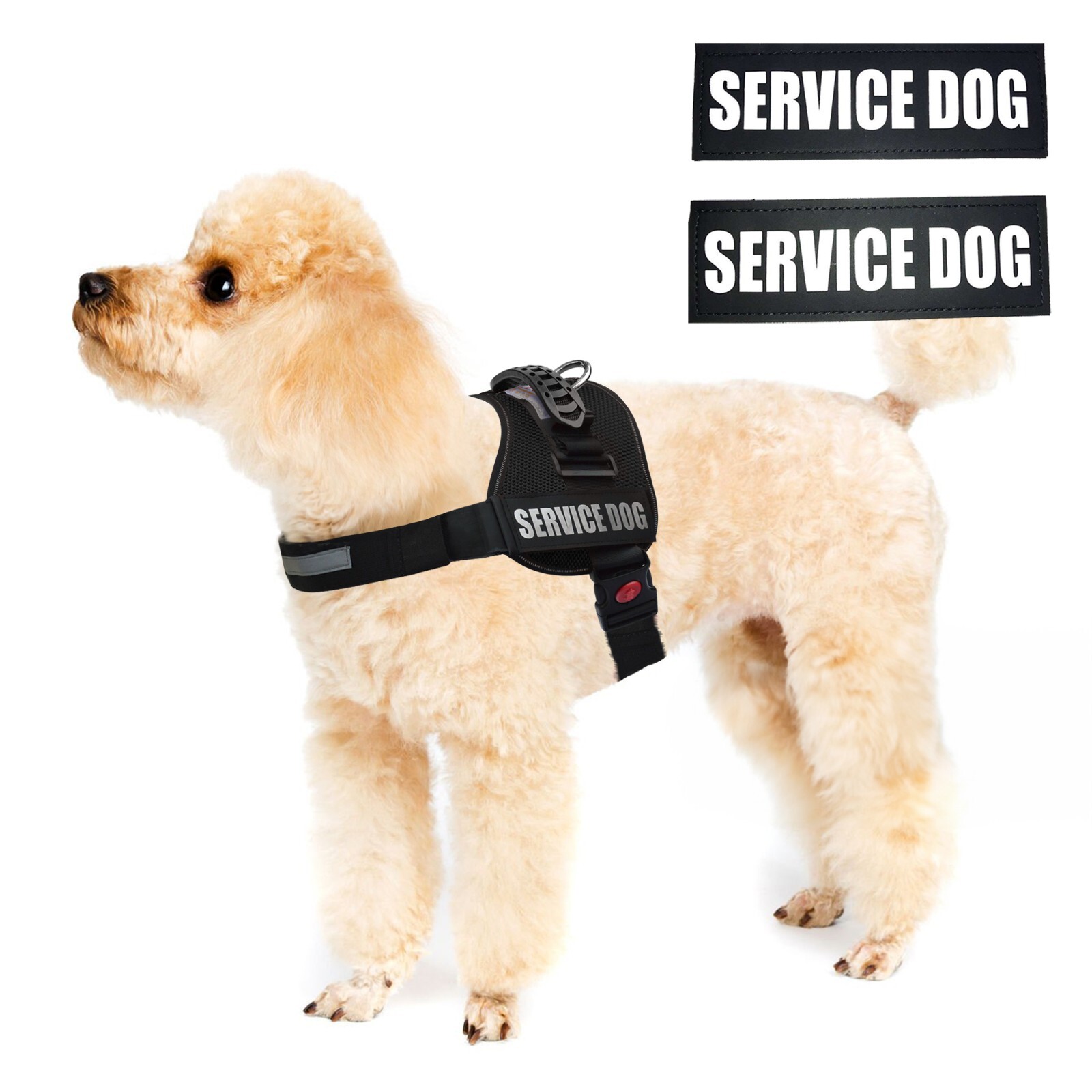 ALBCORP Reflective Service Dog Vest Harness, Woven Nylon with Adjustable Straps