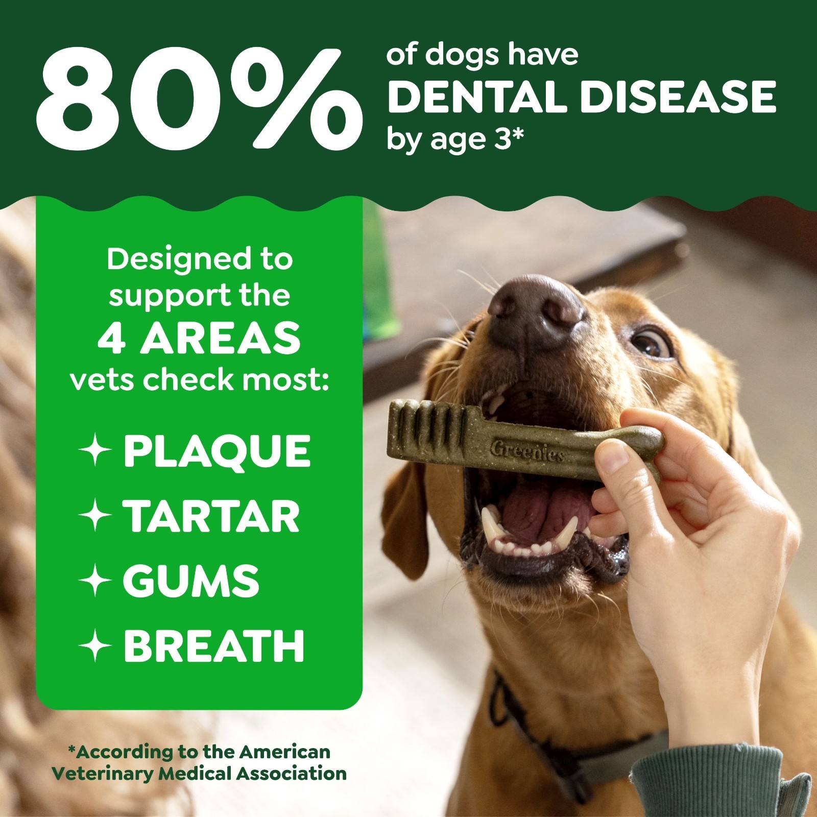 Greenies Original Petite Dental Dog Treats for Adult Dogs, 36 oz Bag, 60 Count