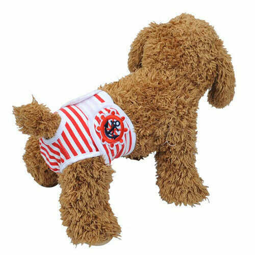 Pet Dog Diaper Female Puppy Physiological Panties Comfort Nappy Pant Sanitary US