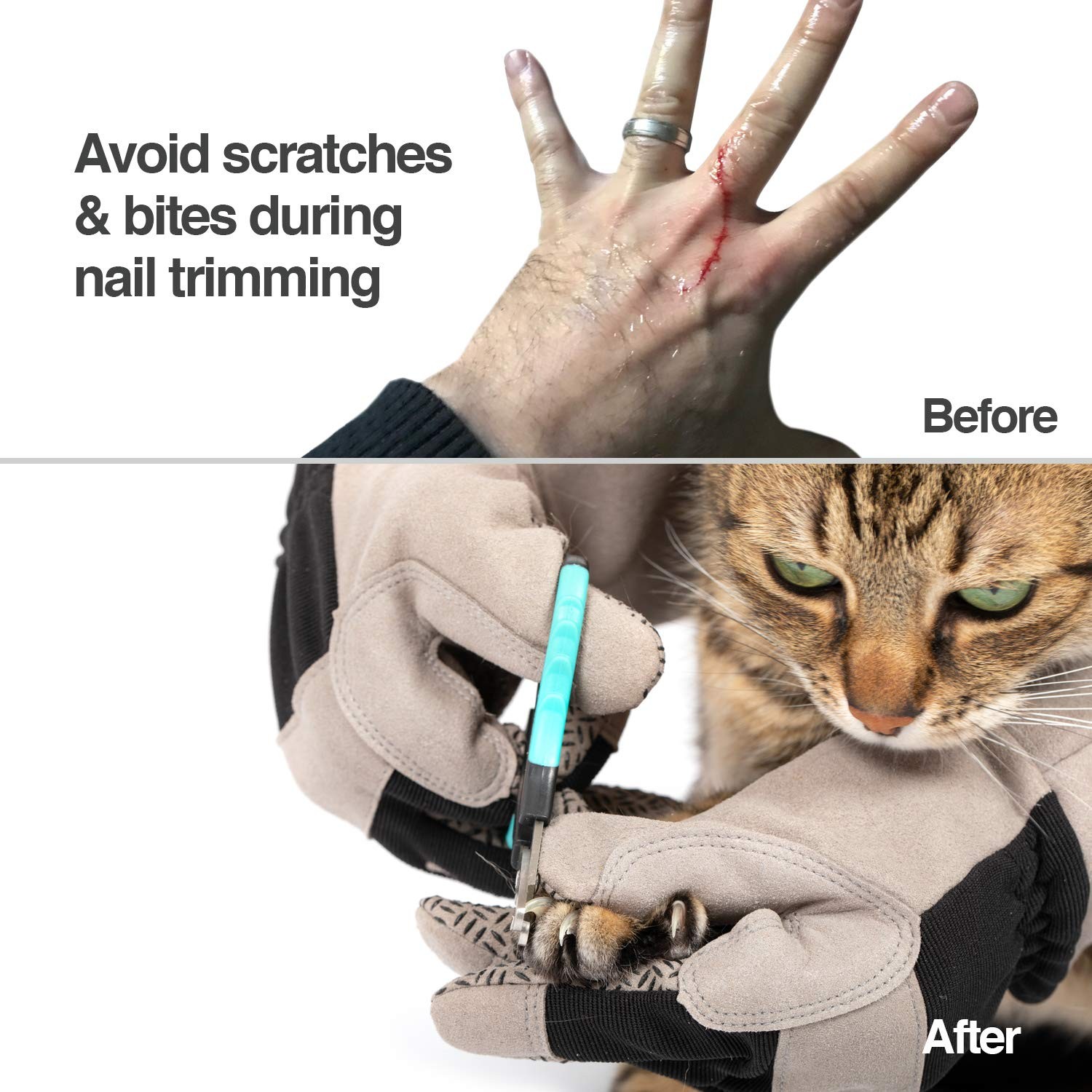 Multipurpose Pet Grooming Glove – Scratch & Water Resistant, 12-Month Warranty