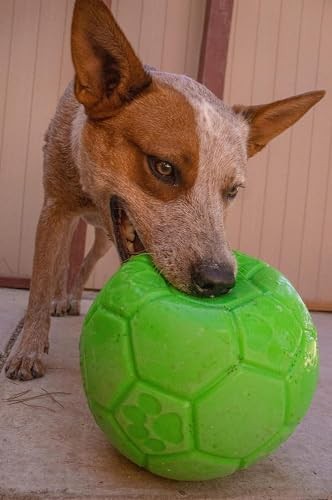 Jolly Pets Medium Soccer Ball Floating-Bouncing Dog Toy, 6 inch Diameter, Apple