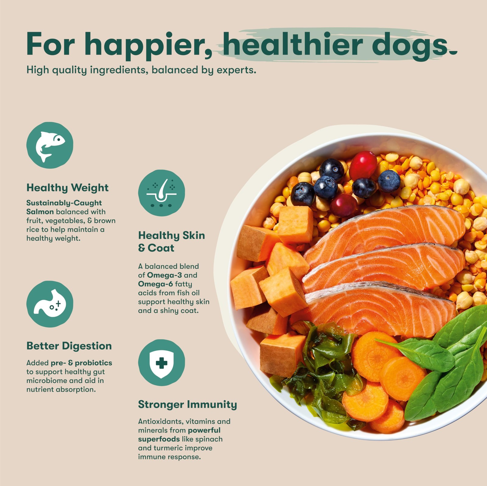 Jinx Premium Grain-Free Dry Dog Food, for All Lifestages 4 Pound (Pack of 1)