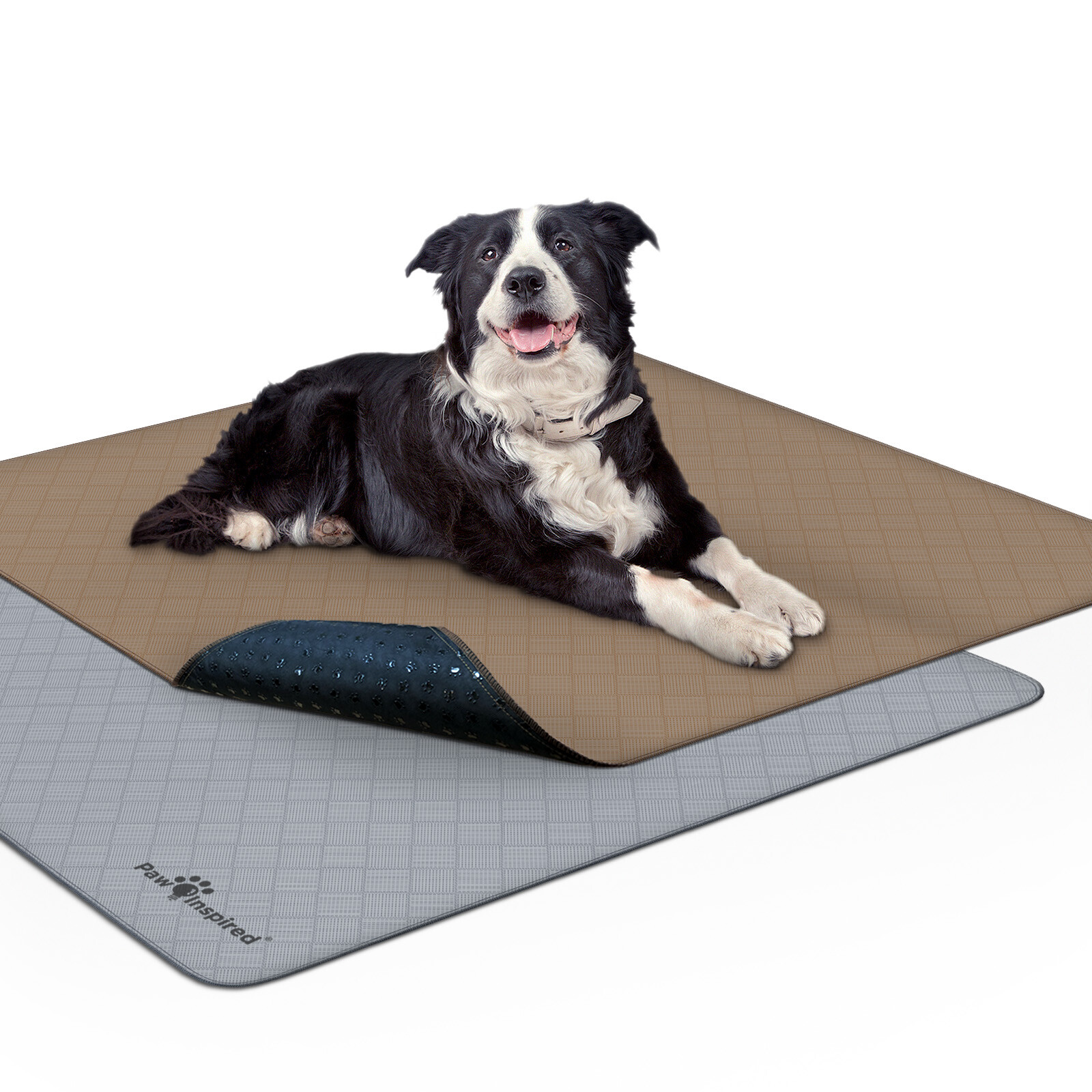 Paw Inspired Washable Dog Pads, Reusable Puppy Pee Wee Training Pads Extra Large