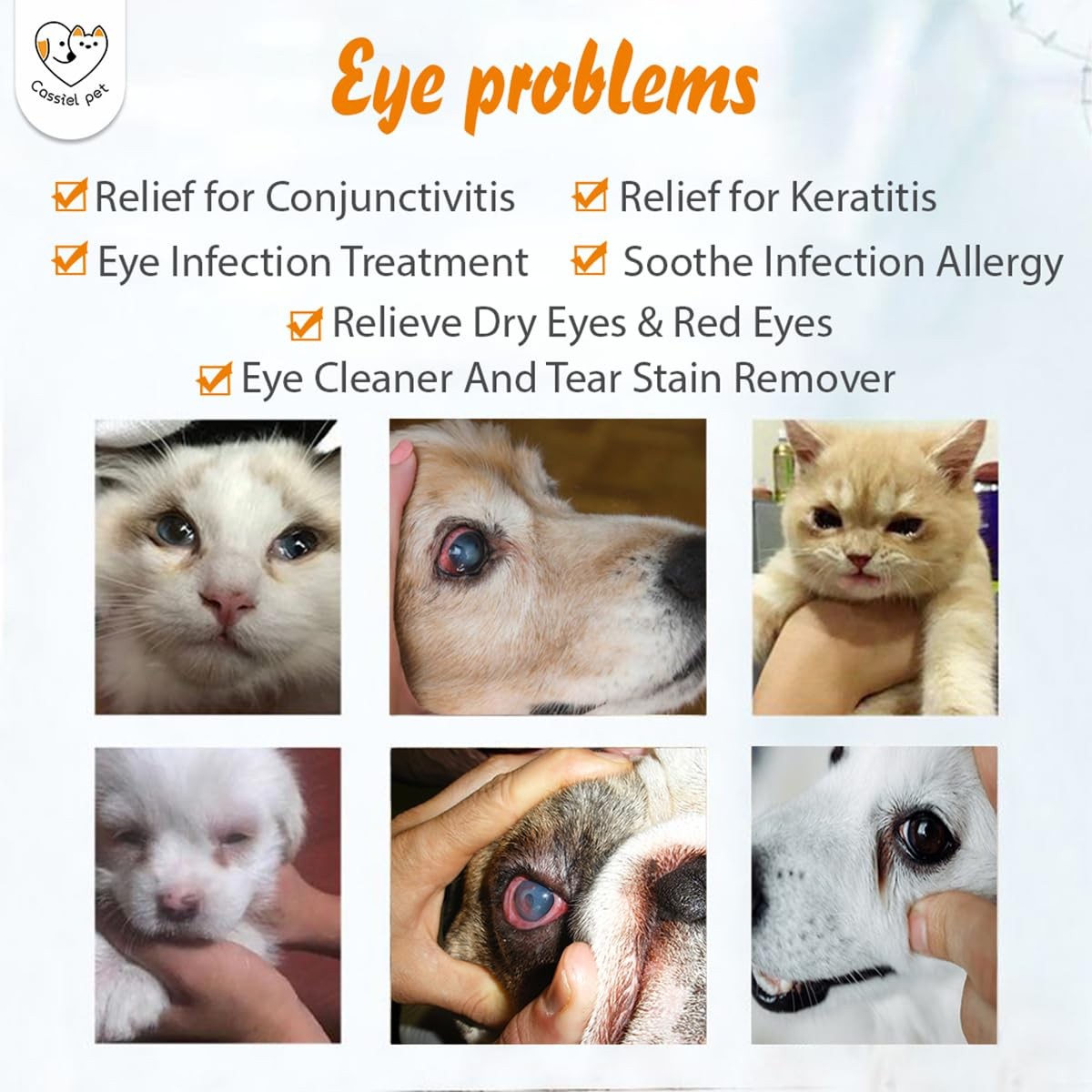 Cassiel pet Eye Drops for Infection Treatment, Soothe 1 Bottle, colorless