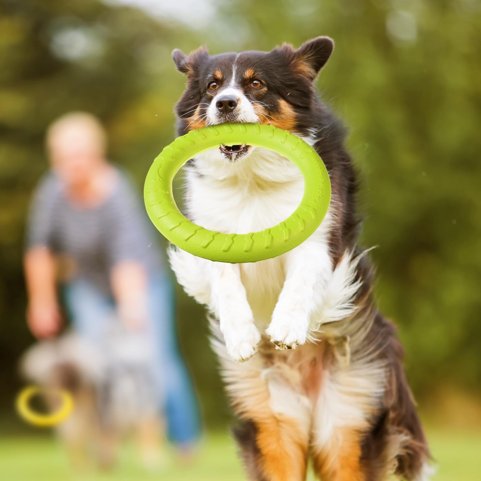 4Pack Dog Ring Chew Toy 11.8in Durable Floating Fetch Toy for Large/Medium