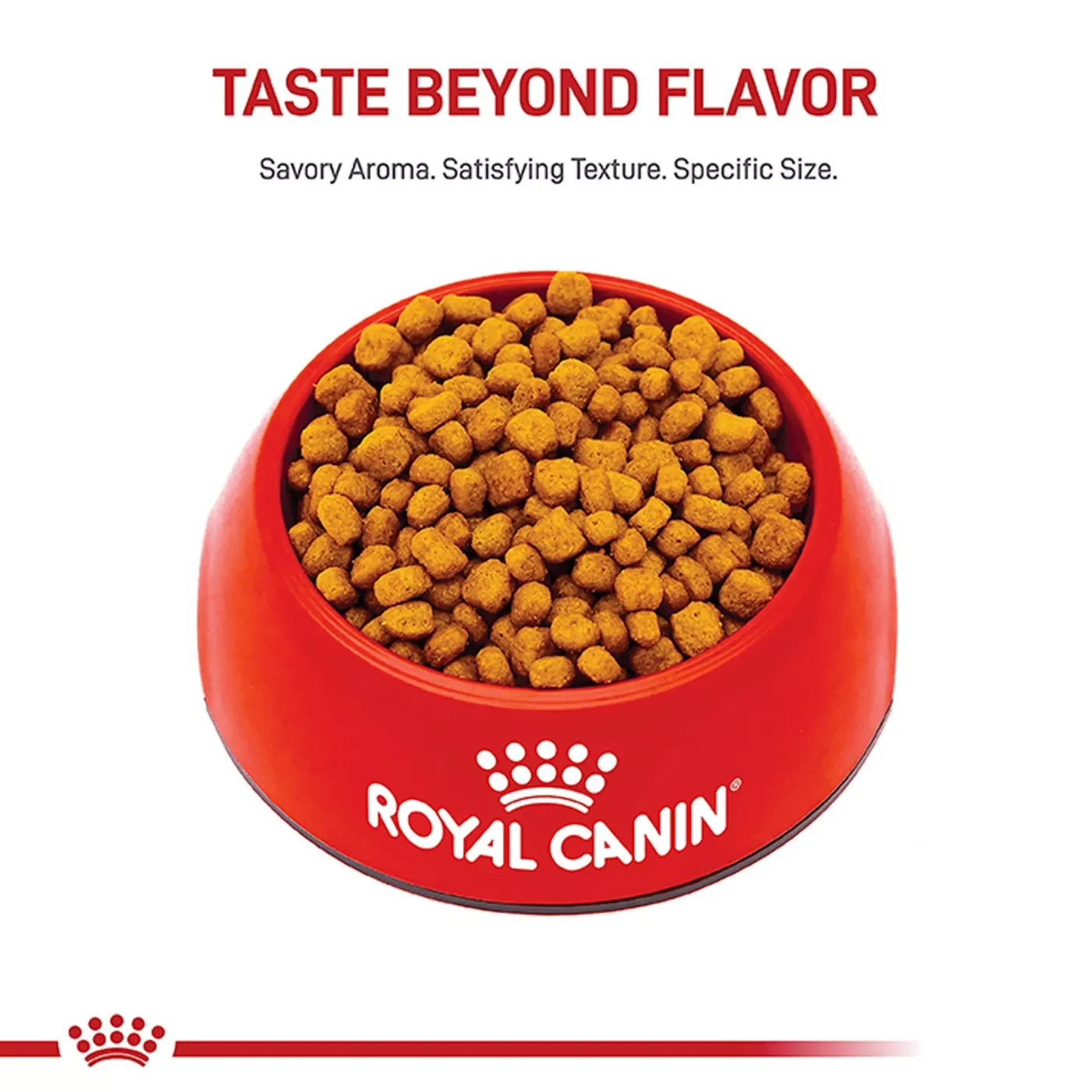 Royal Canin Chihuahua Adult Dry Dog Food Breed Specific Nutrition 2 lb Bag