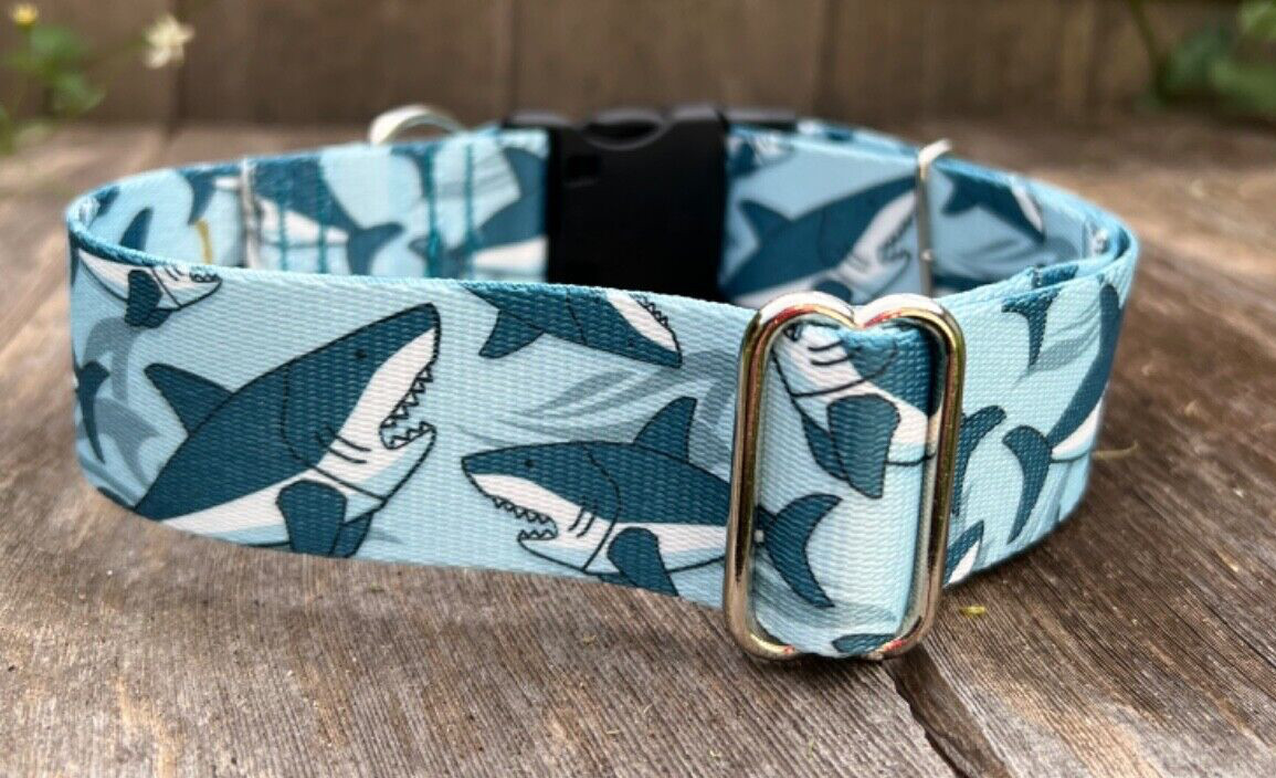 1 .5 inch Wide Sharks Beach Collar Quick Release Adjustable Handmade in the USA