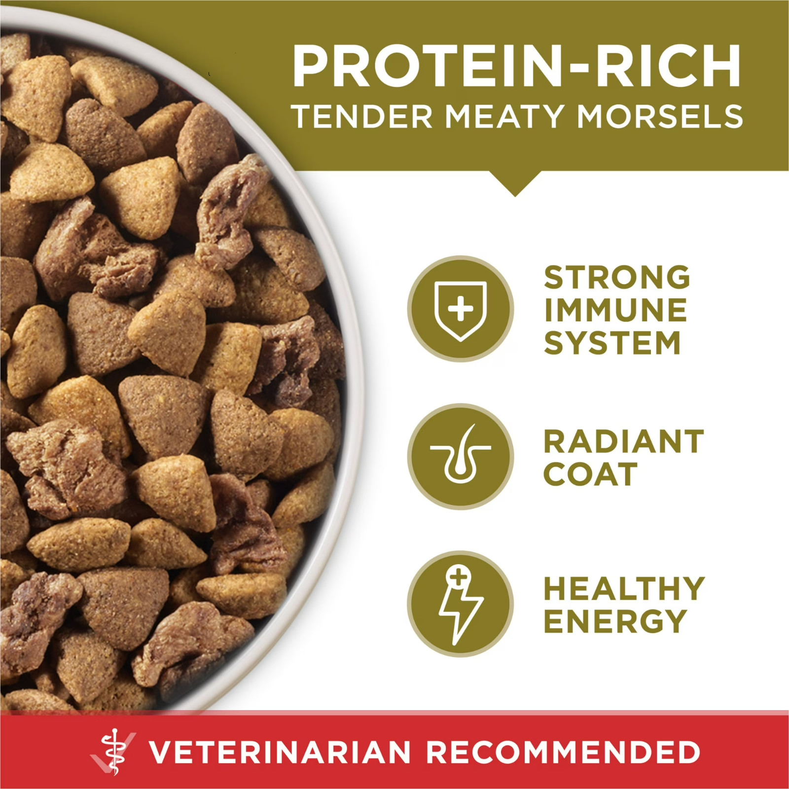 Purina ONE Plus Dry Dog Food for Adult Dogs, Lamb & Rice Formula, 40 lb – NEW
