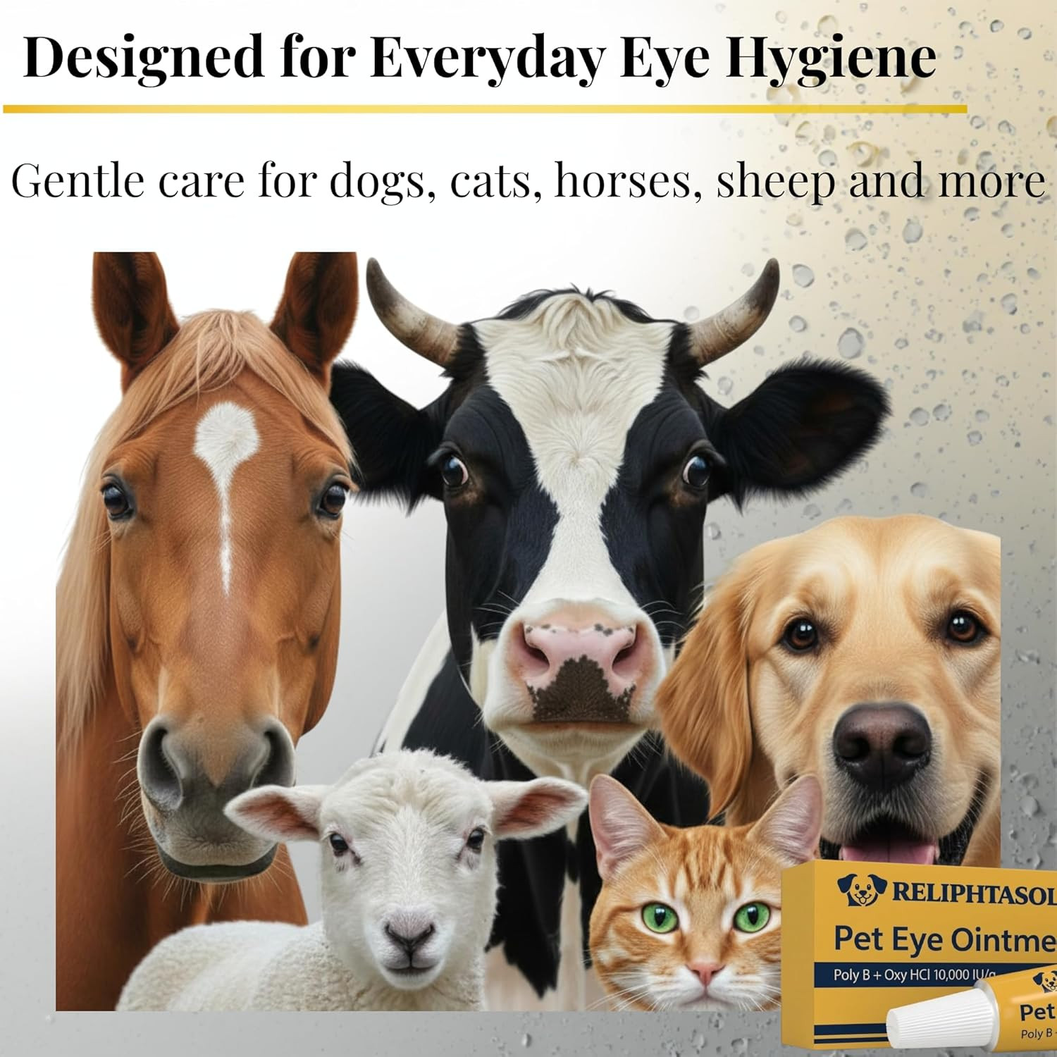 Pet Eye Cream – Vet-Formulated Dog Eye Infection Treatment, Pink Eye Relief, Con