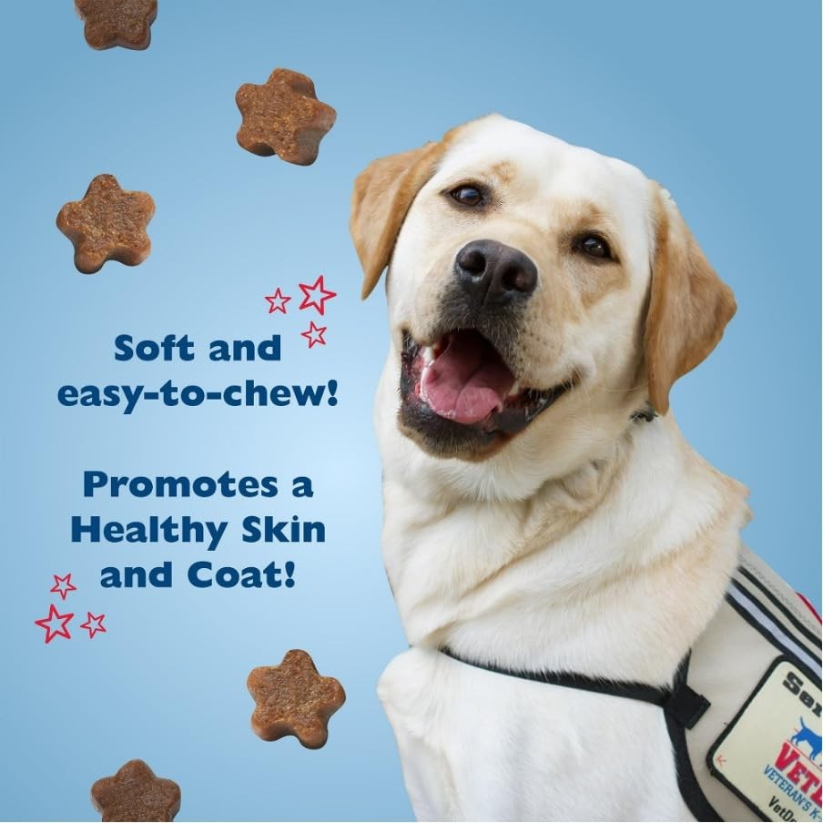 American VetDogs Veteran’s K-9 Corps Dog Treats – Tasty 10 Ounce (Pack of 1)