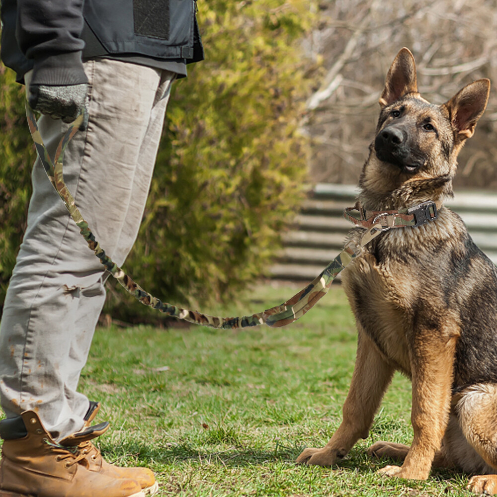 Tactical Dog Collar Military Training With Leash Heavy Duty Metal Buckle M L XL