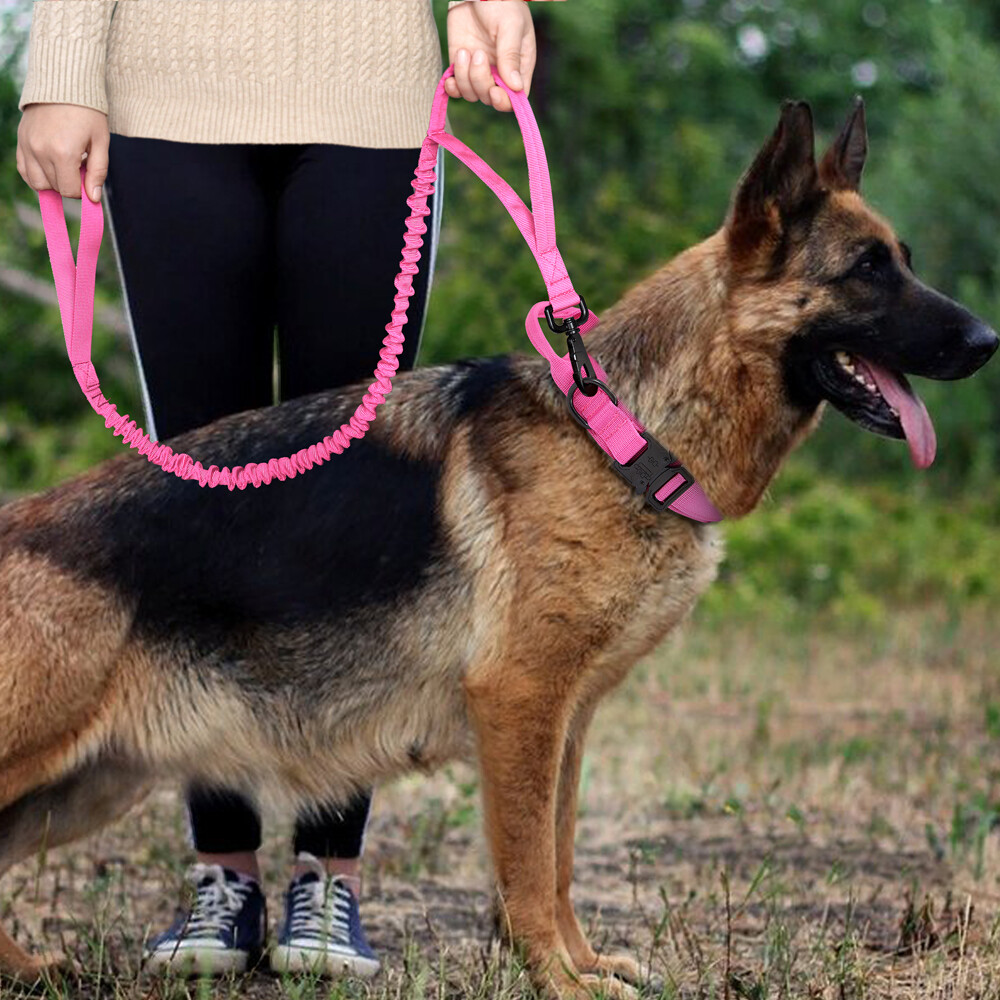 Tactical Dog Collar Military Training With Leash Heavy Duty Metal Buckle M L XL