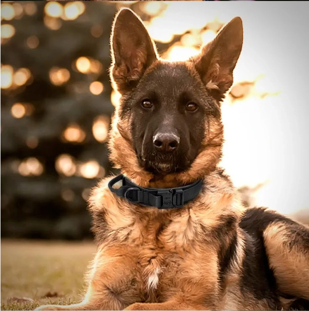 Tactical Dog Collar w/ Handle +Leash Heavy Duty Military Service Canine Training