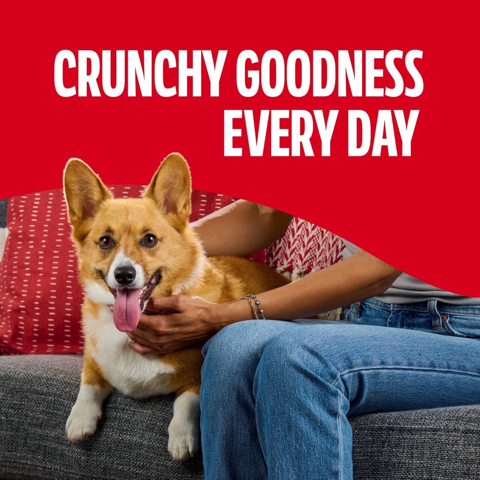 Milk-Bone Flavor Snacks Small Dog Biscuits, Flavored Crunchy Dog Treats, 24 Oz.
