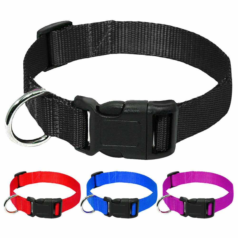 Nylon Dog Collar Heavy Duty Clip Buckle Martingale Pet Collar Adjustable L XL