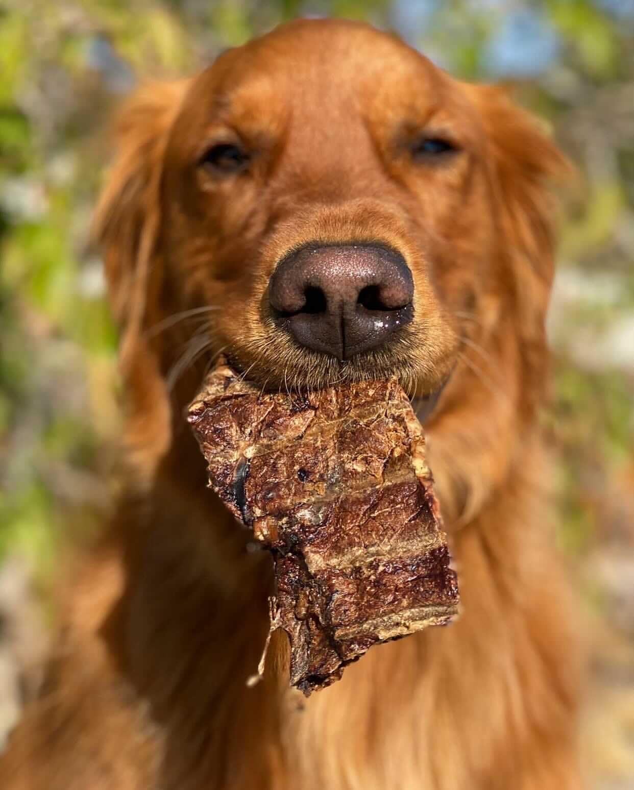 Natural Choppers Beef Lung Chew Treats for Dogs – Premium Made in USA Rawhide…