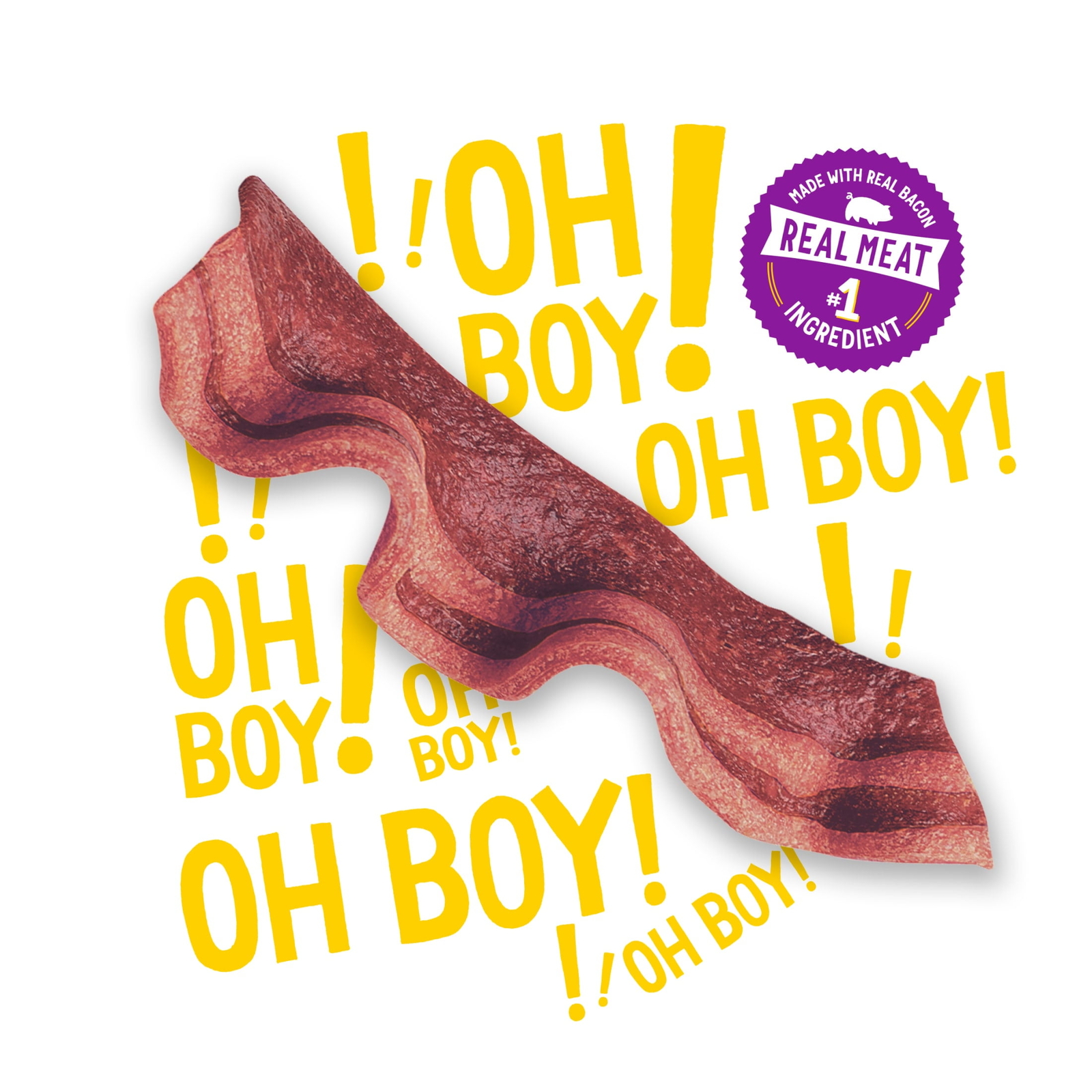 Strips Dog Treats with Real Bacon & Beef Flavors Tender Chews, 40 oz Pouch