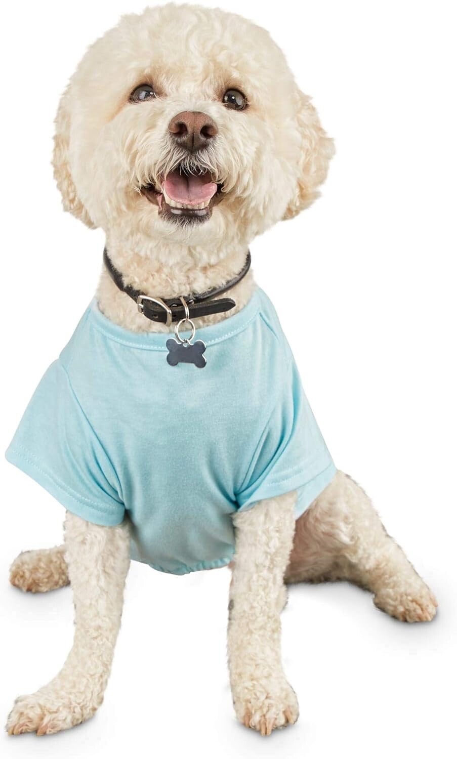 Bond & Co. Birthday Boy Dog T-Shirt, Small