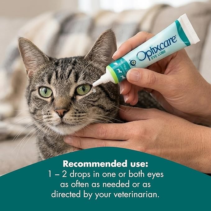Optixcare Eye Lube For Animals, Corneal Protectant & Lubricant, 20 gm