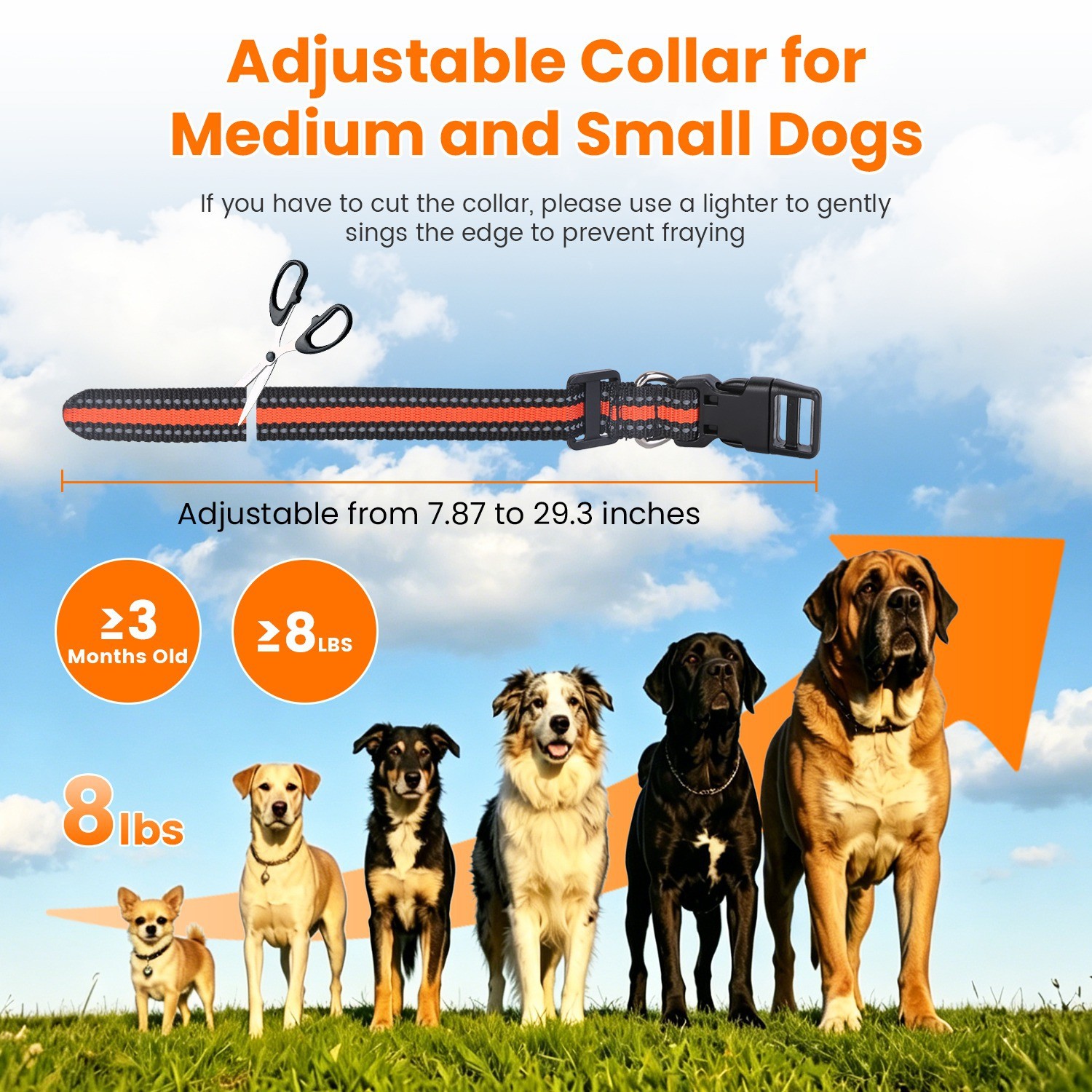 2IN1 Wireless Dog Fence System Pet Containment Boundary Control &Training collar
